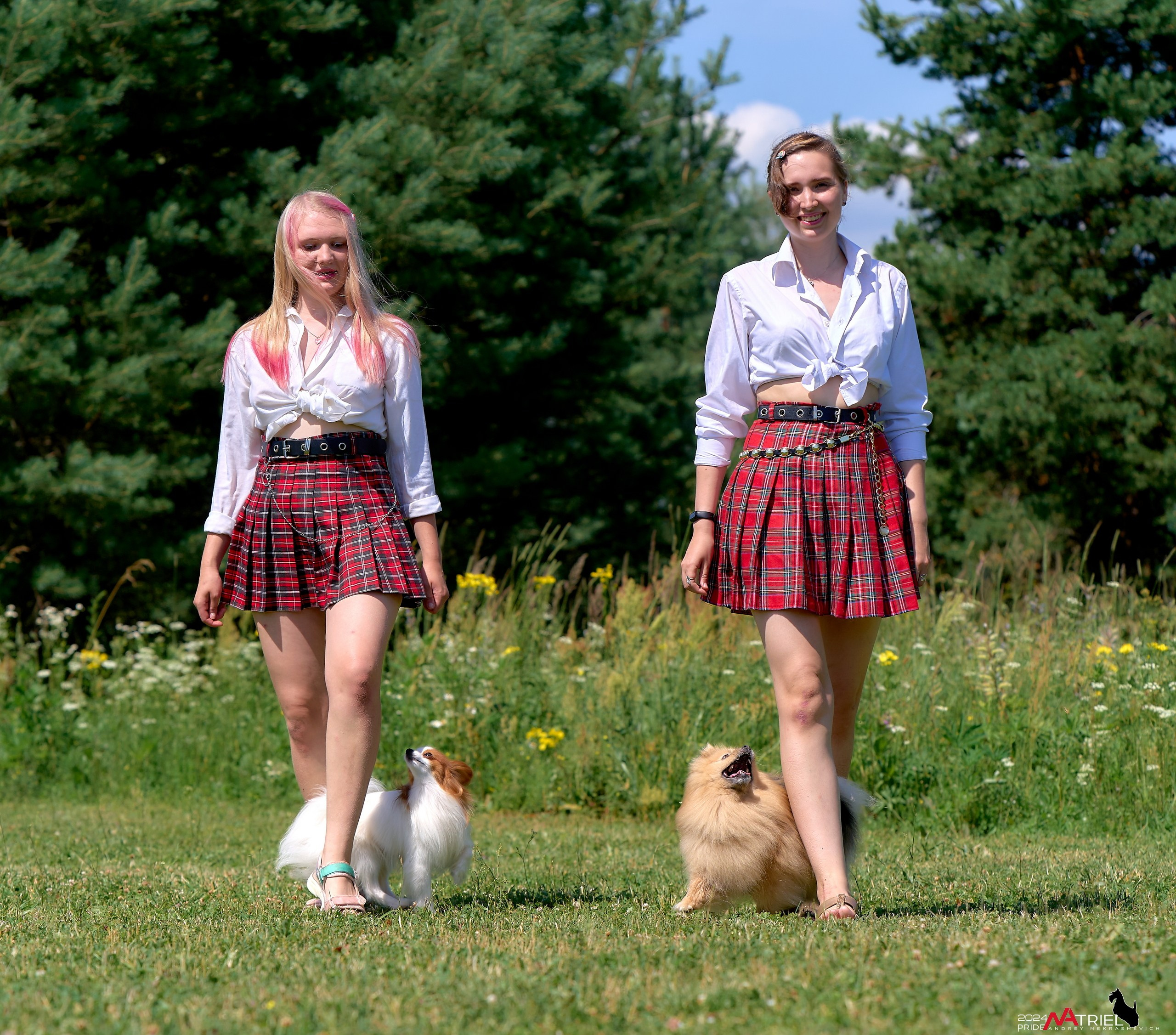 Репортаж из кинологического лагеря