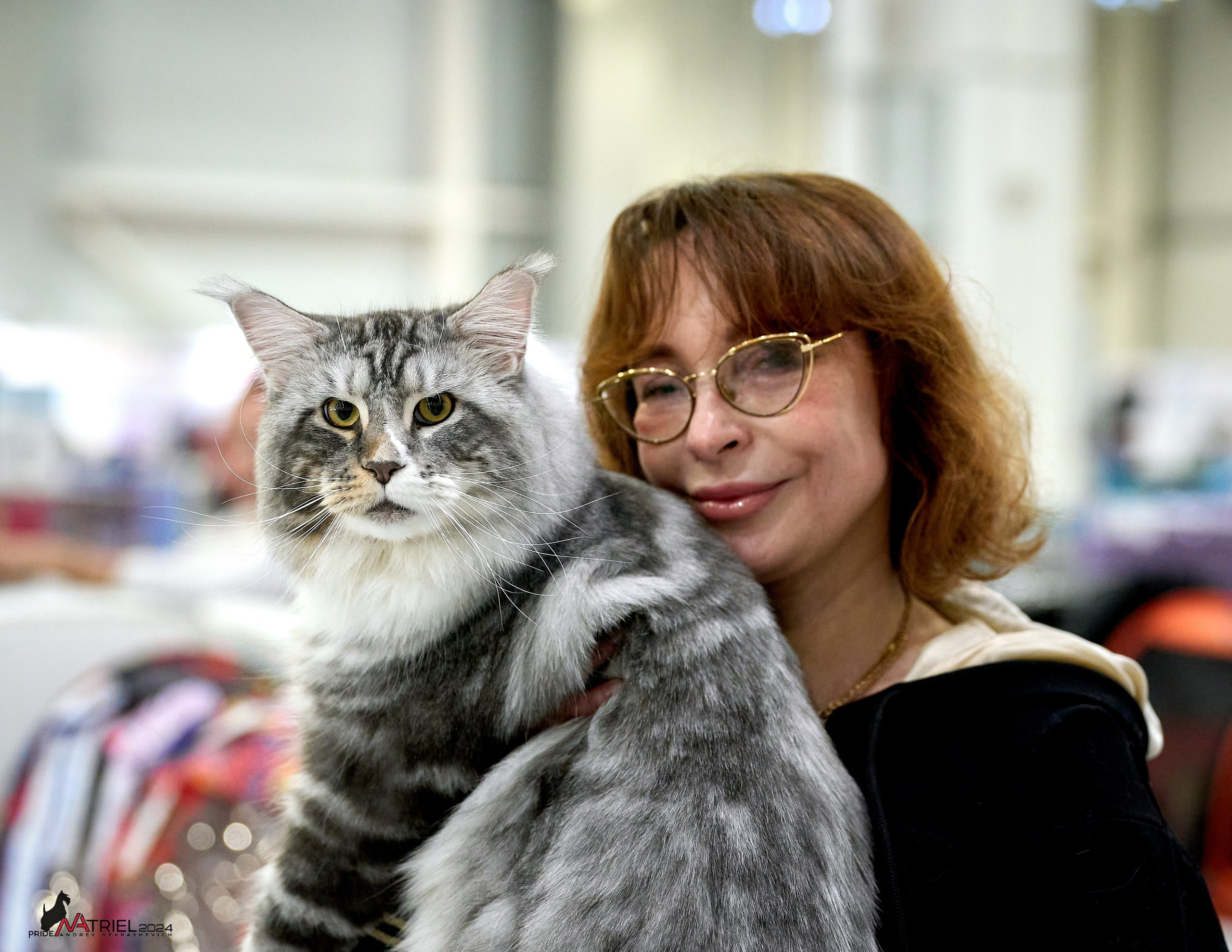 Выставки животных — галерея NATRIEL