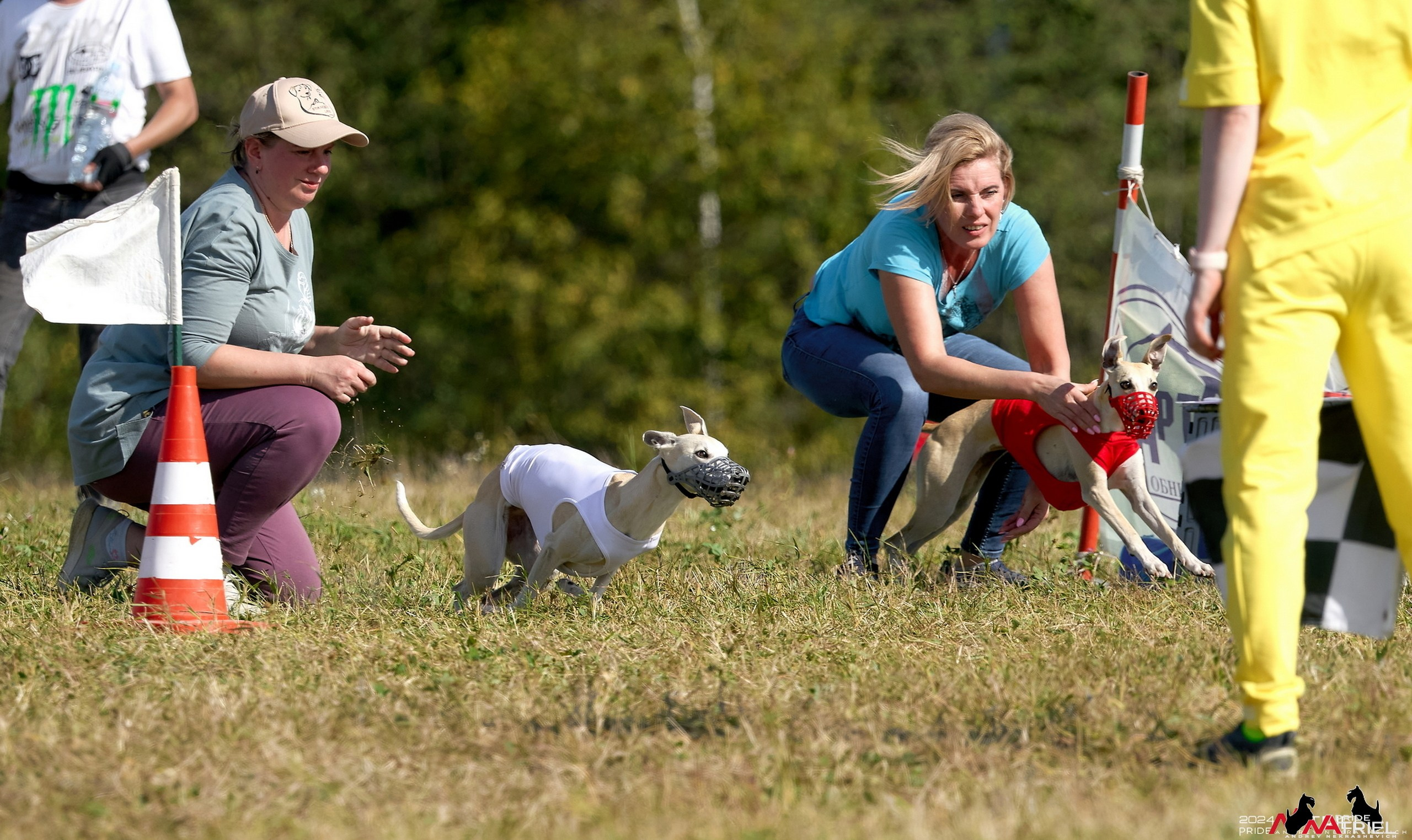 Съемка курсинг — галерея NATRIEL