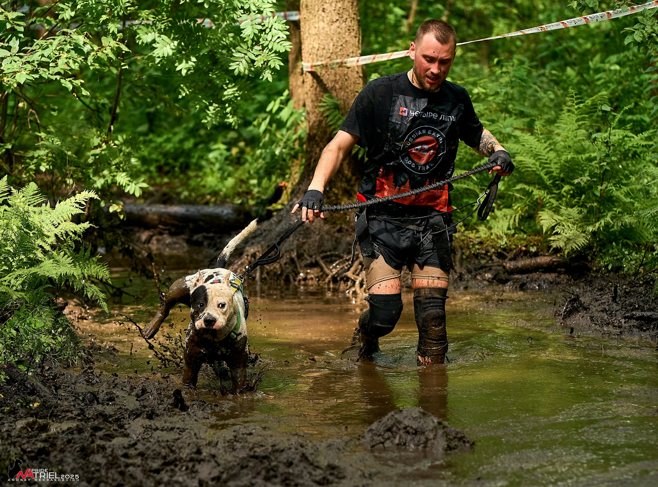 Russian Extreme Dog Trail — 2025