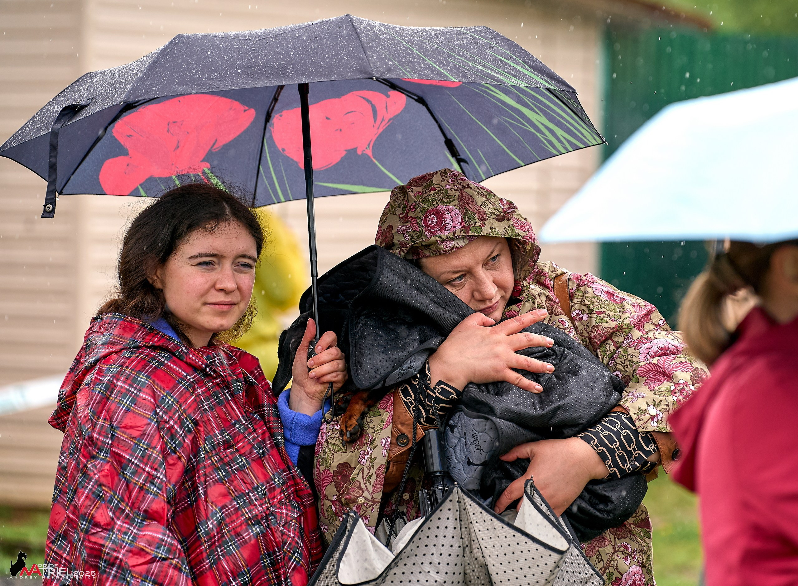 Репортаж с выставки собак