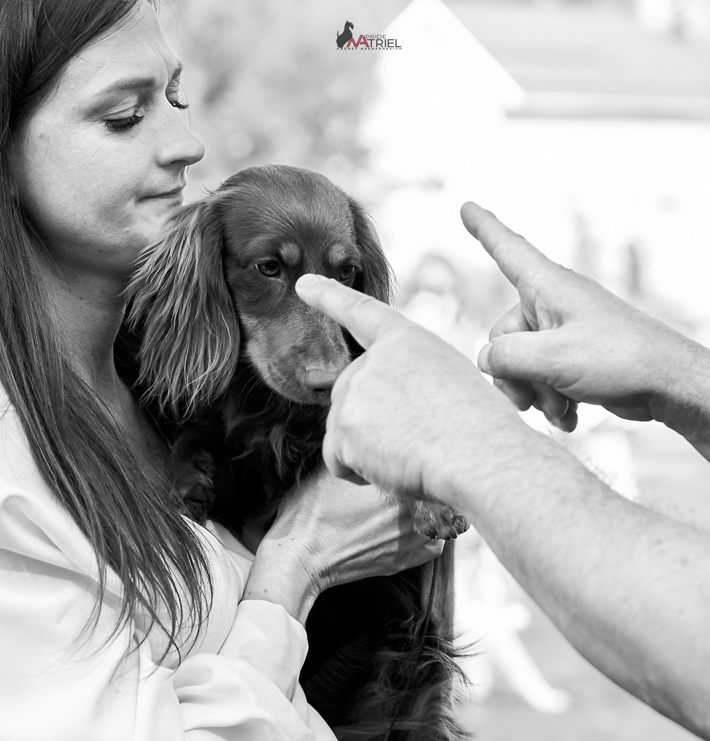 Работа в рингах — галерея NATRIEL