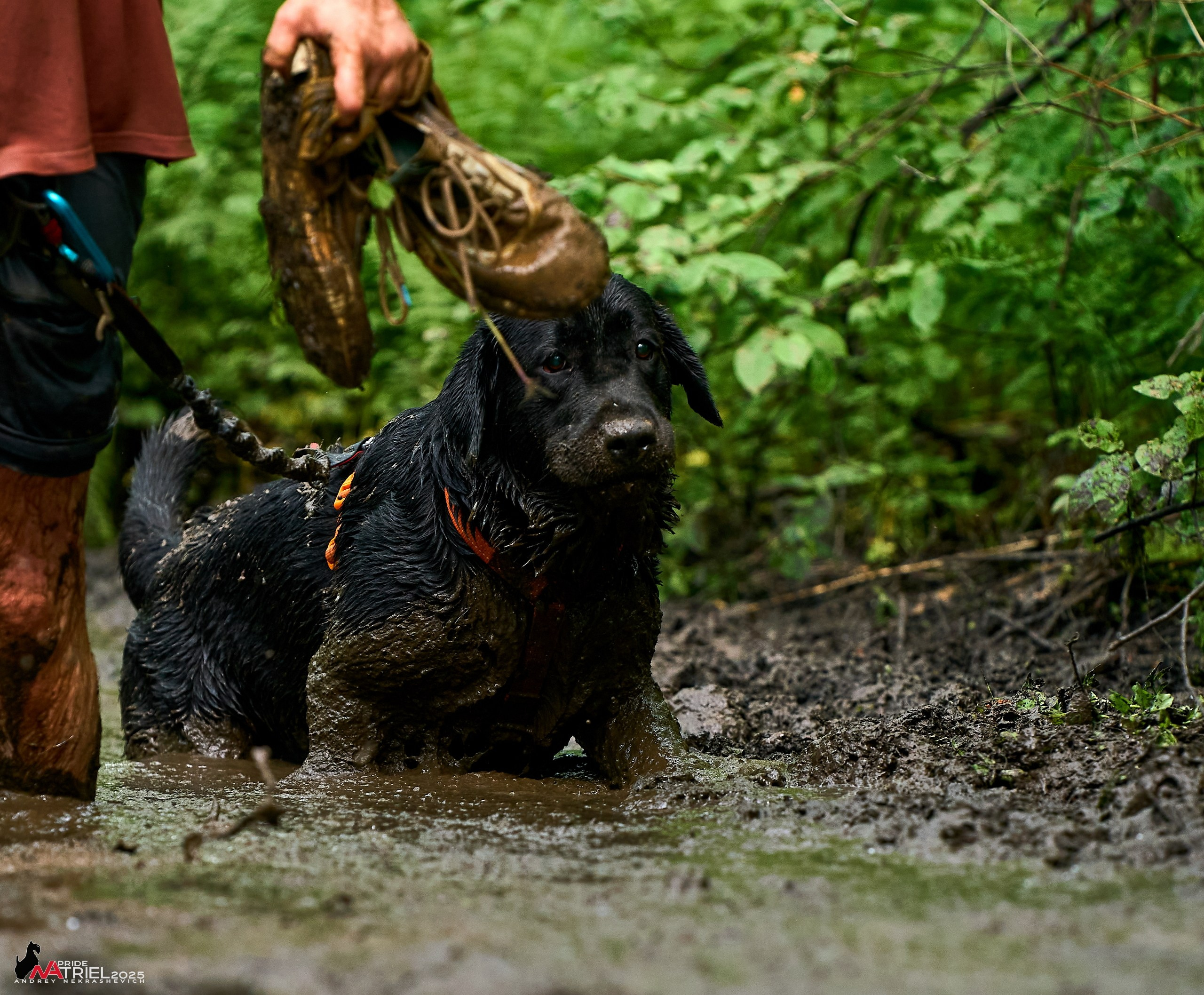Russian Extreme Dog Trail — 2025