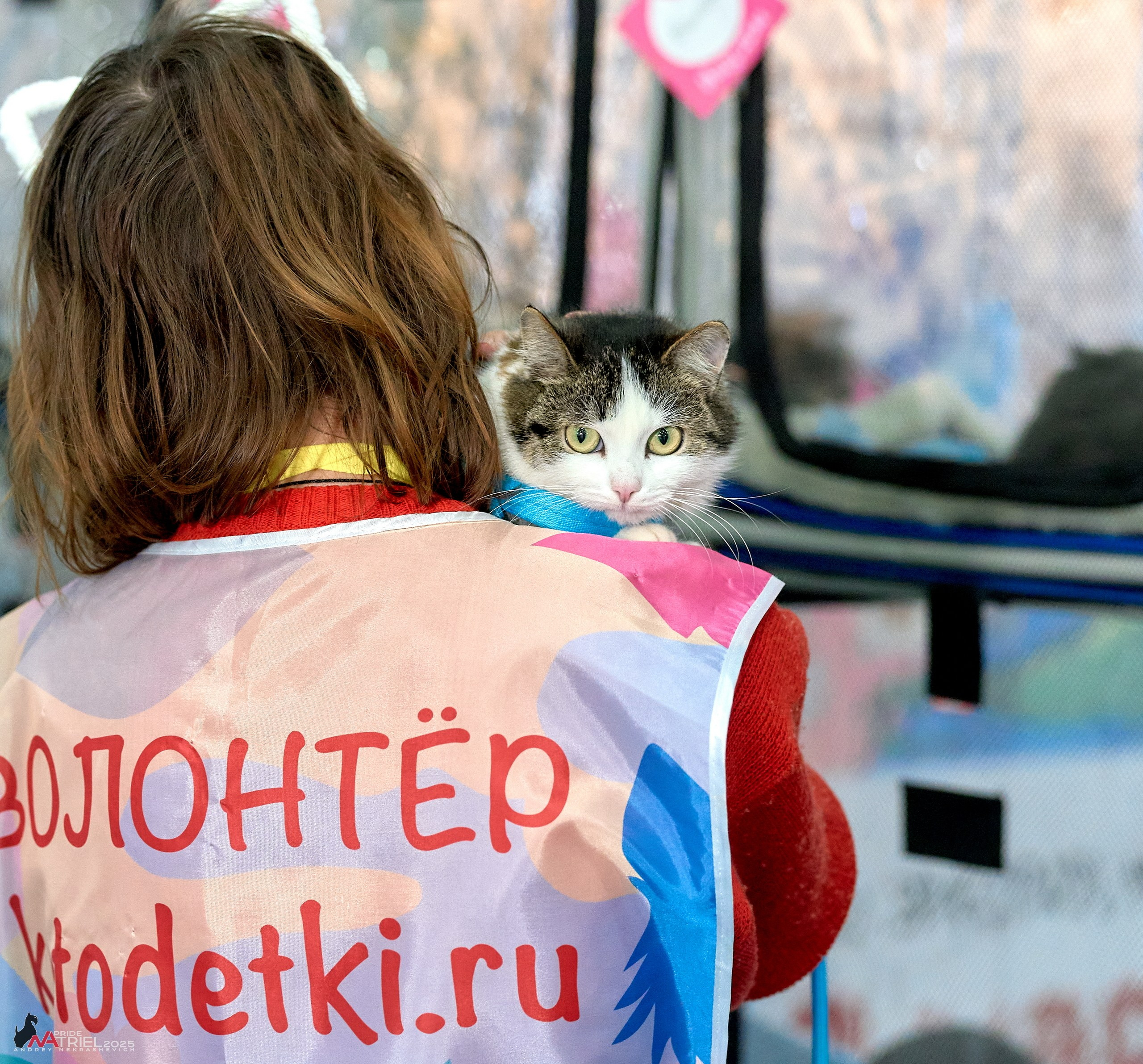 Репортаж с ЗООФЕСТ в Крокусе