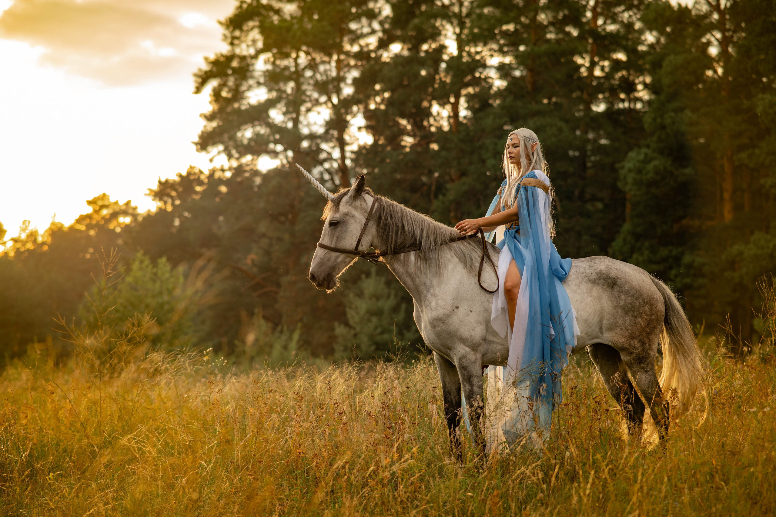 Лесной эльф. Семейный и свадебный фотограф в Абакане Юлия Су
