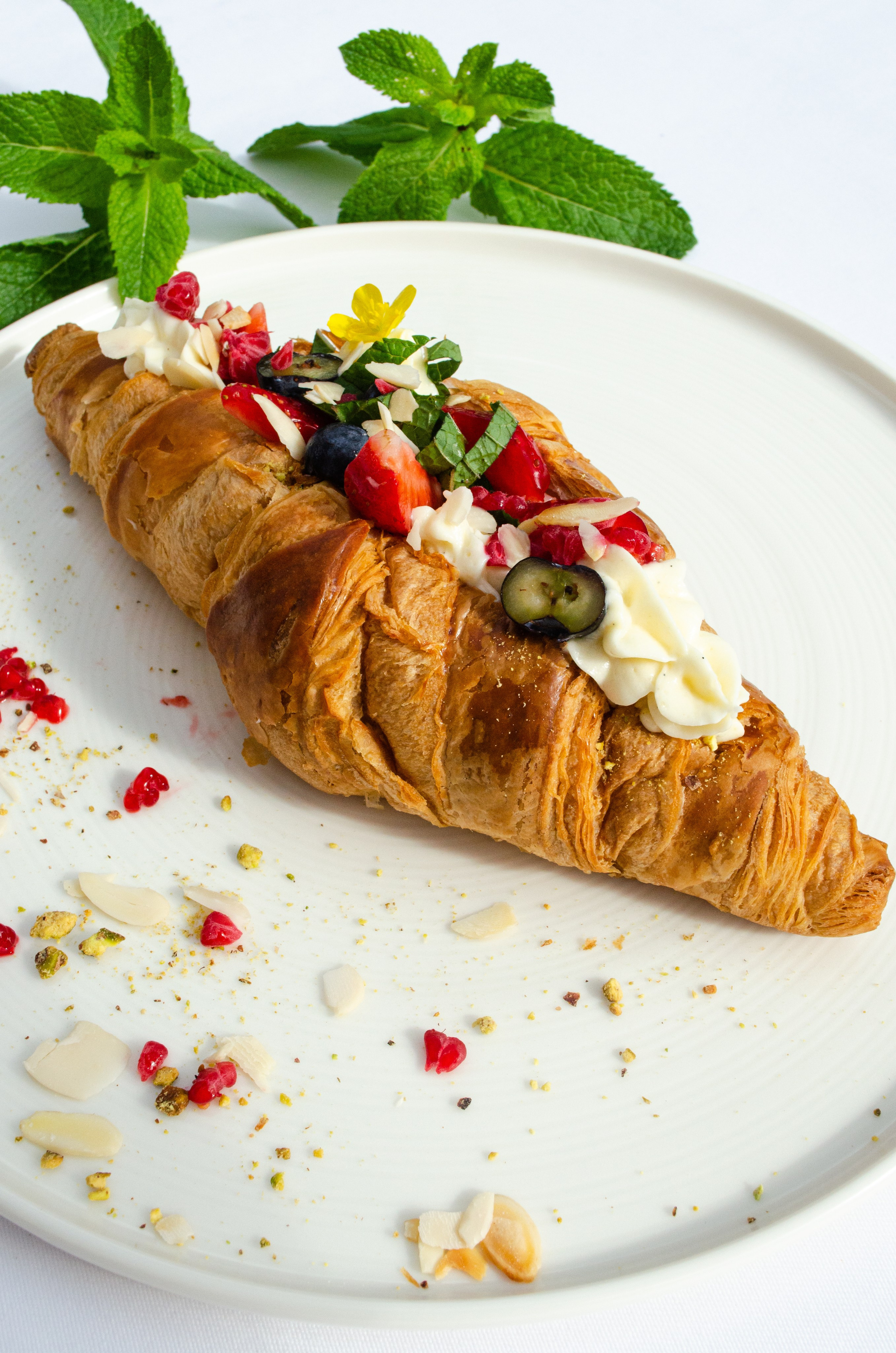 Роза Хутор Modys ресторан. Фотограф