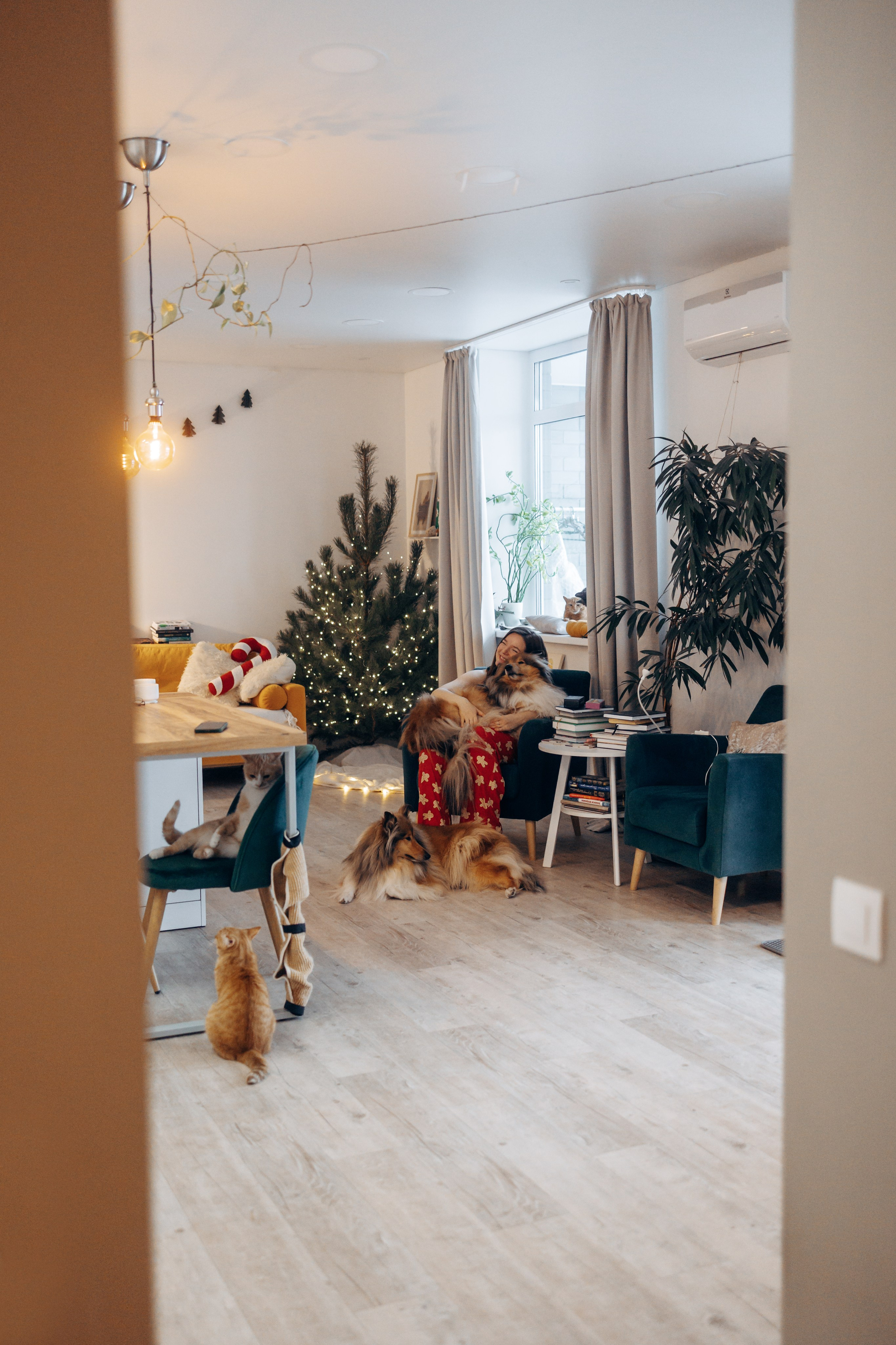 Юлиана, Элли и Райан. YULA KOLESOVA | Фотограф — Анималист | Художник | Тюмень