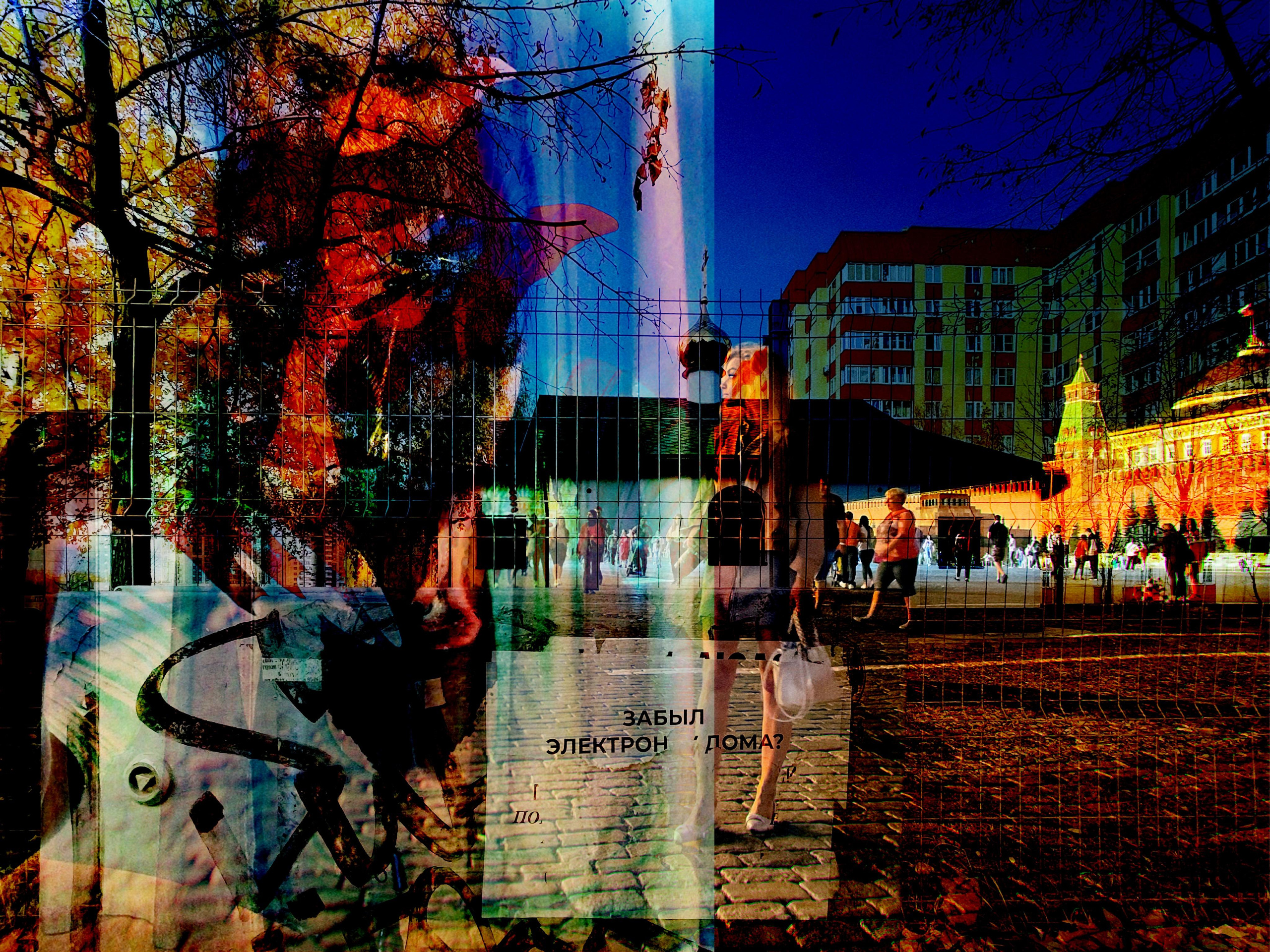 Mosh Pit. Alina Panover