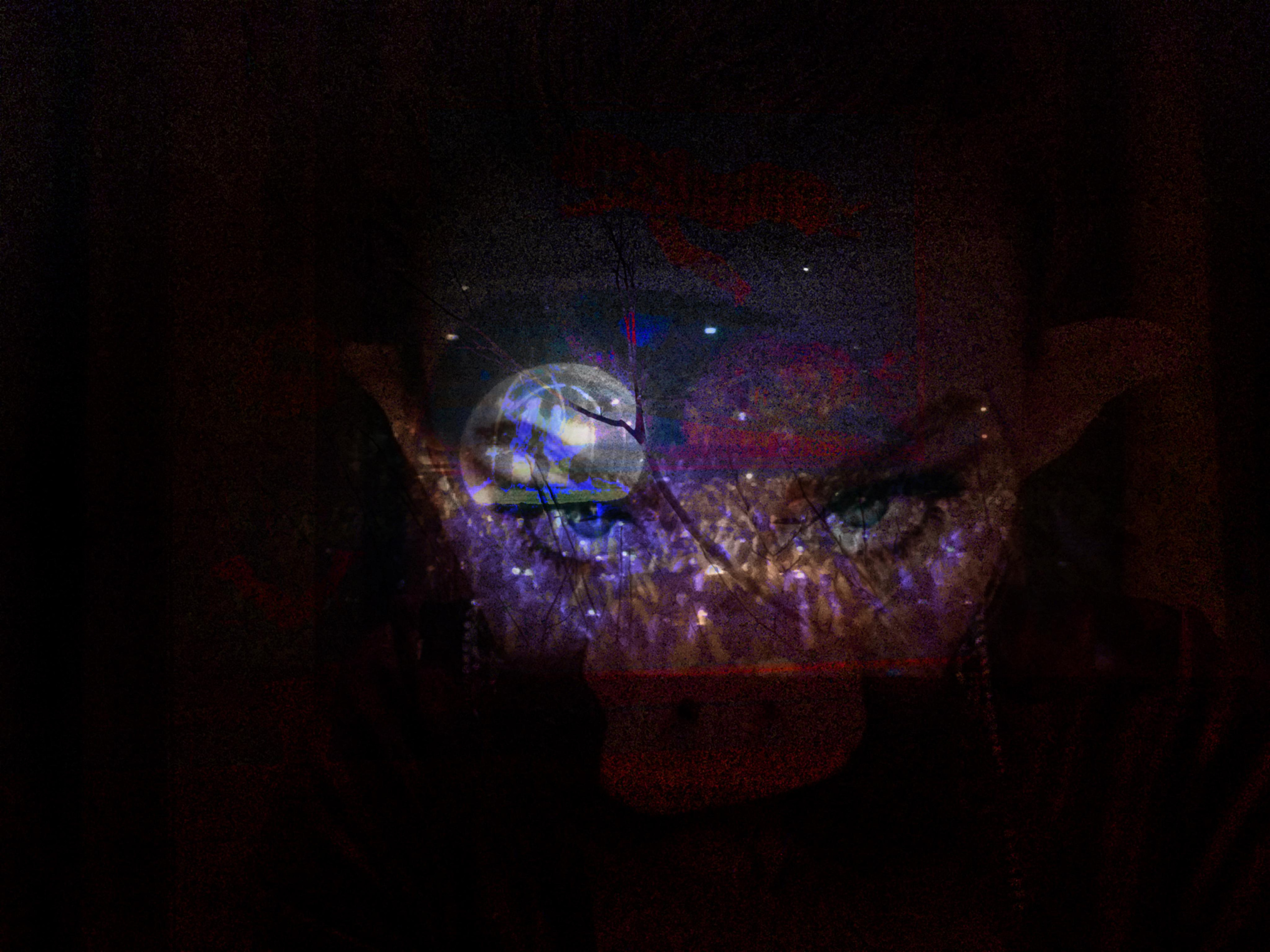 Mosh Pit. Alina Panover