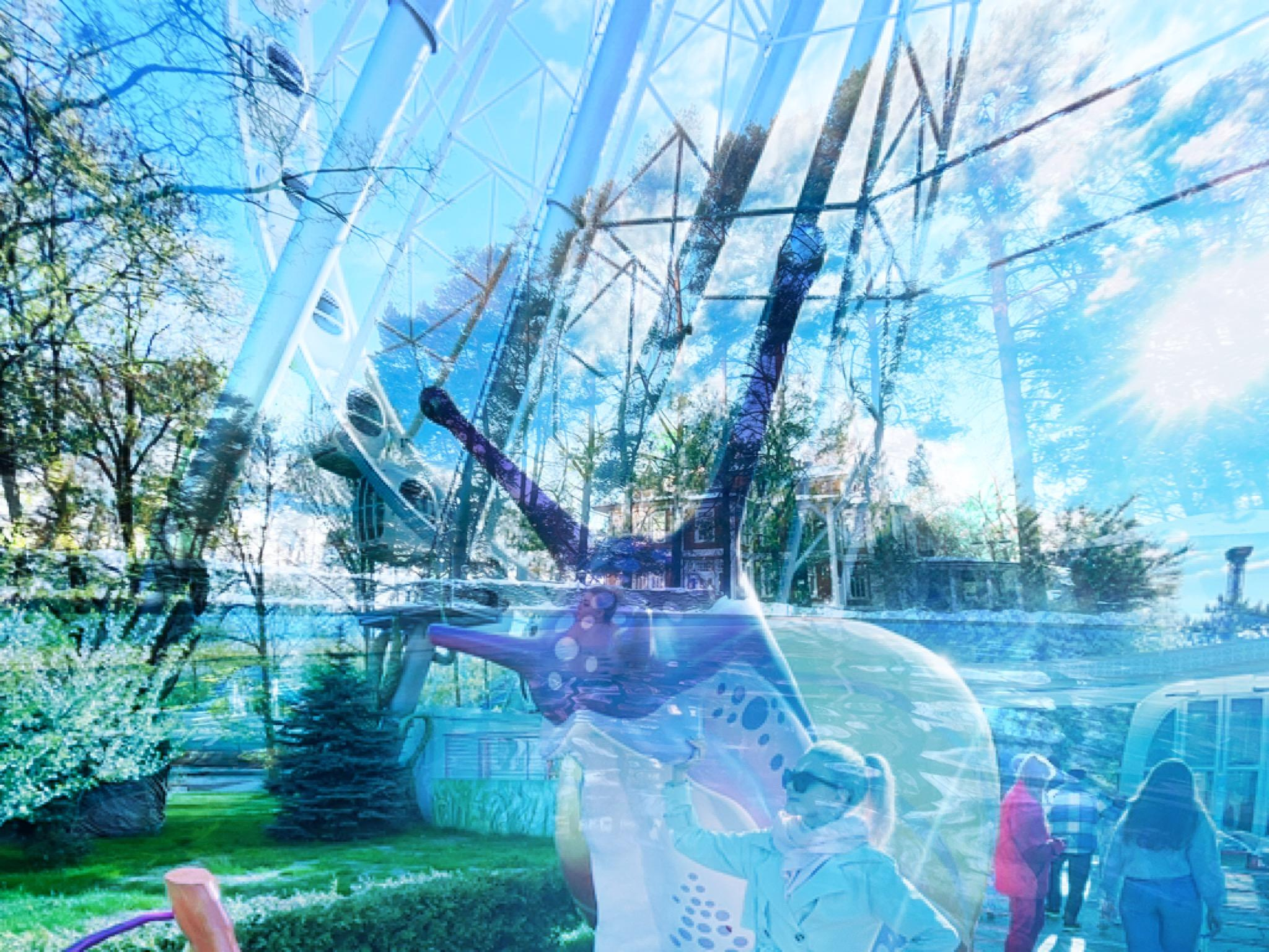 Mosh Pit. Alina Panover