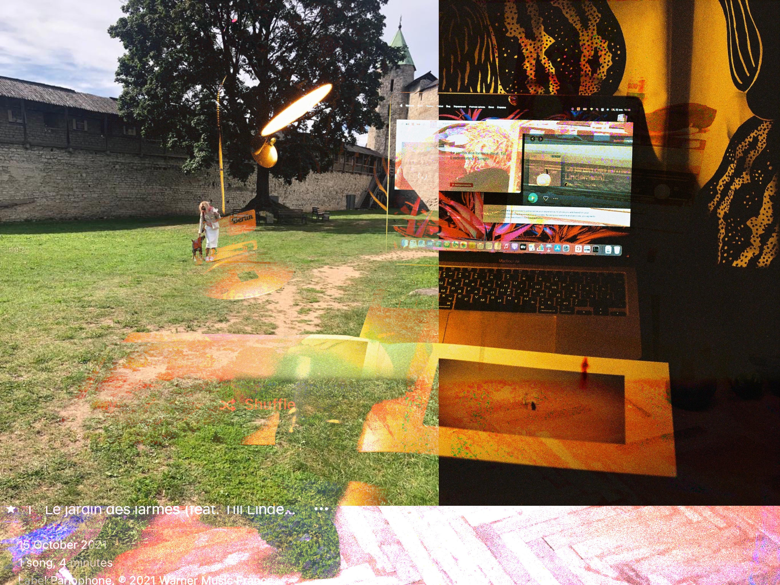 Mosh Pit. Alina Panover