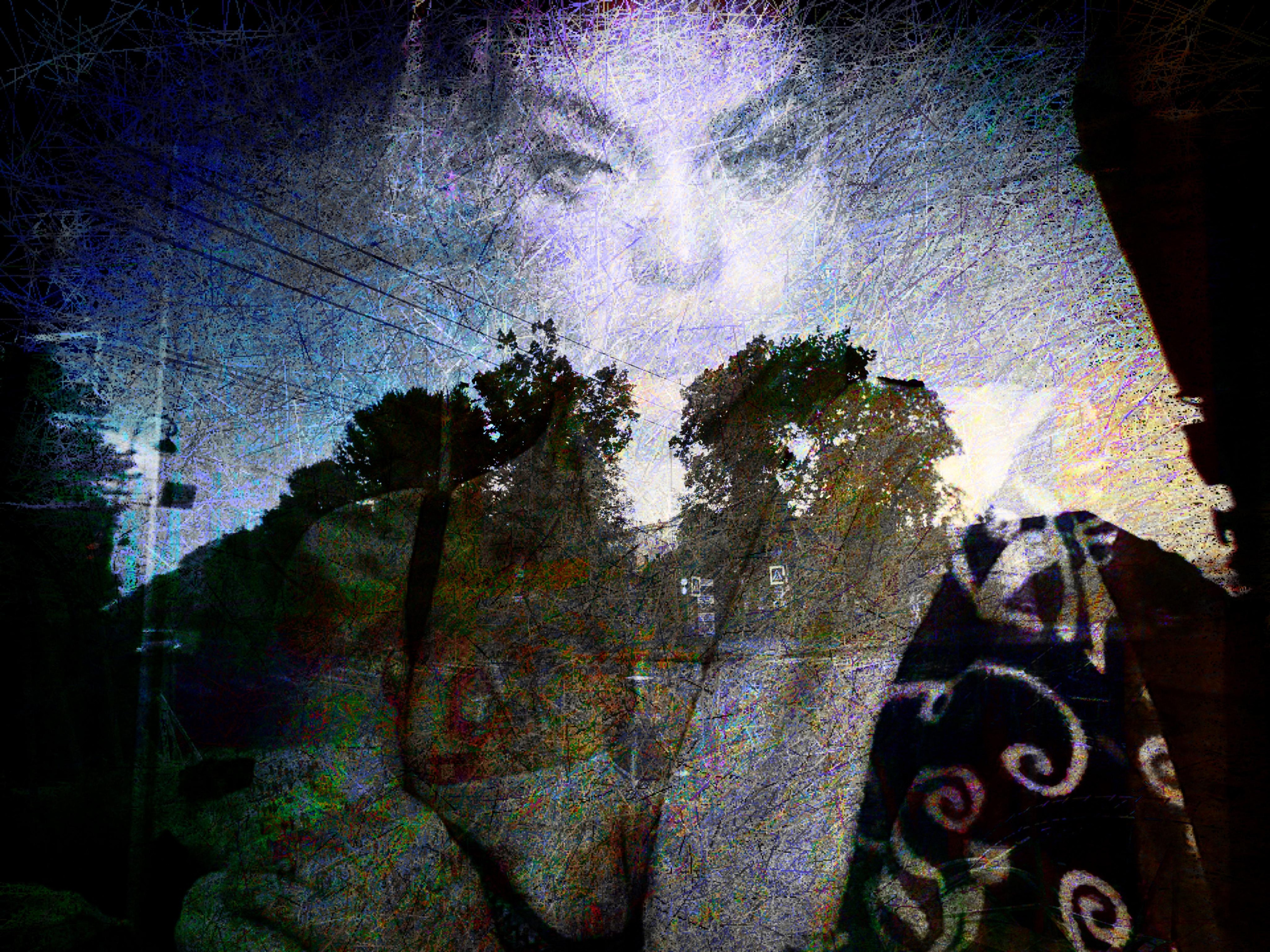 Mosh Pit. Alina Panover