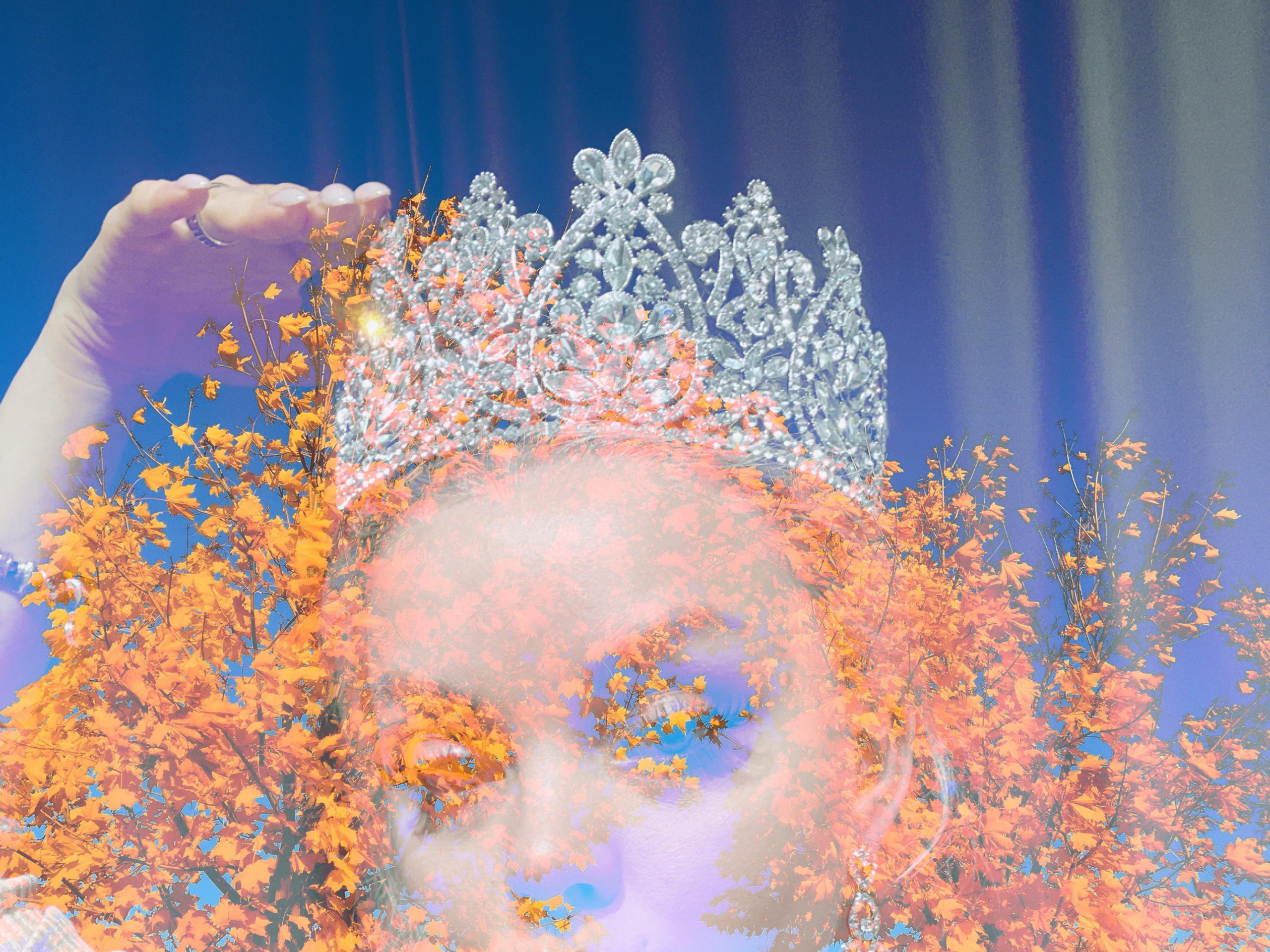 Mosh Pit. Alina Panover