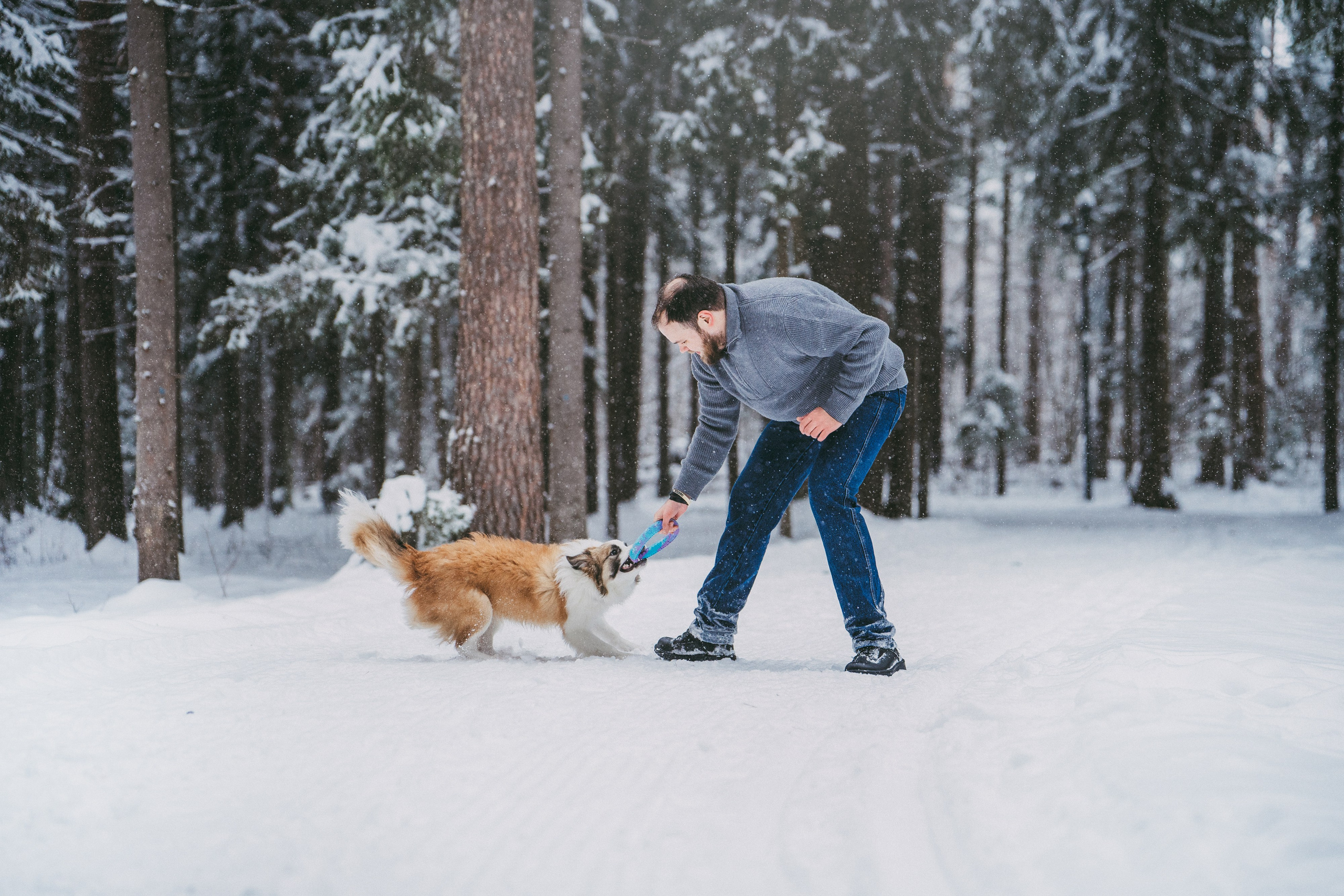 Катя, Анатолий и Елай. Фотограф анималист в Москве и Санкт-Петербурге Свиридова Анна