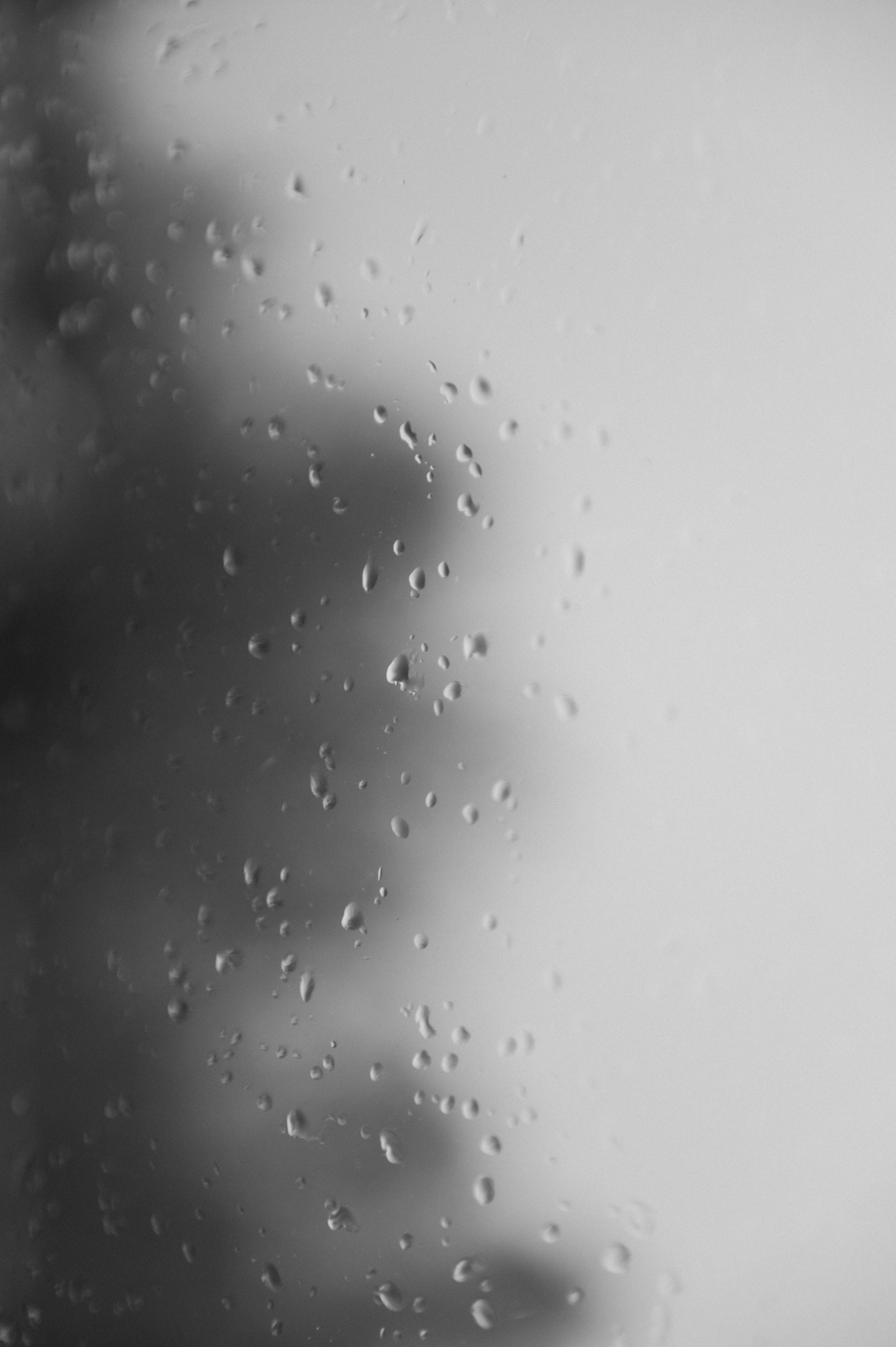 Диана и Никодим. Семейный и свадебный фотограф в Москве Татьяна Николаева