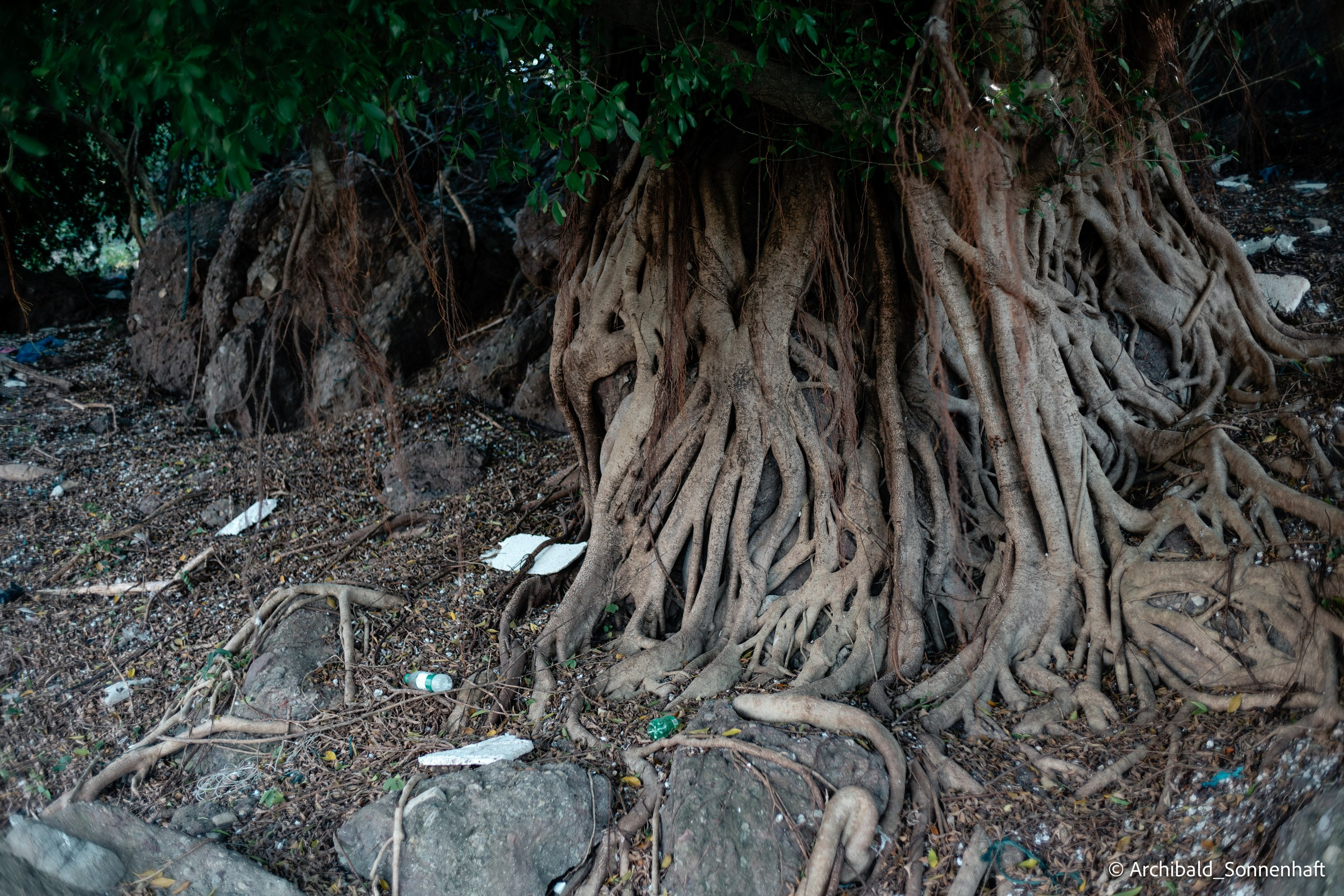 Kayaking in Huizhou, China. Photographer in Guangzhou, China. Archibald Sonnenhaft