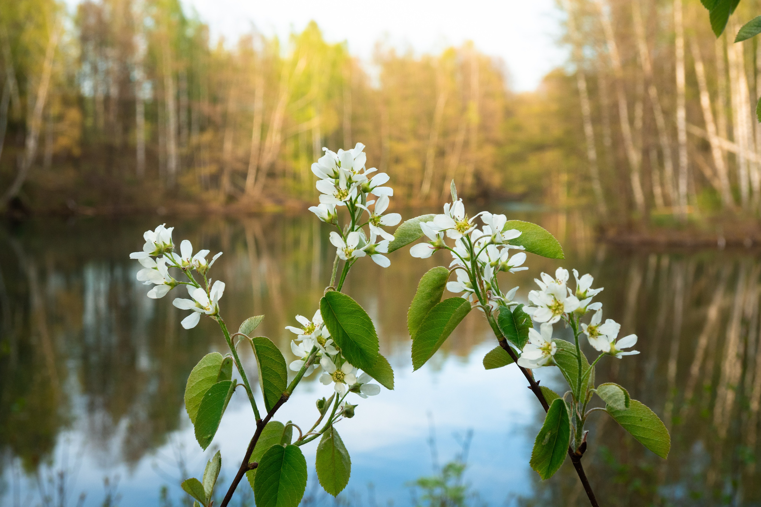 Суворовские карьеры. Фотограф и видеооператор в Туле | Даниил Рыбак