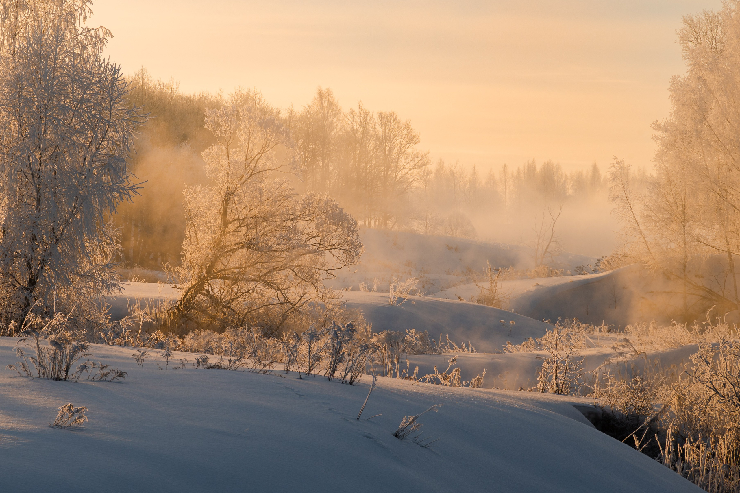 Река Дёготня. Фотограф и видеооператор в Туле | Даниил Рыбак
