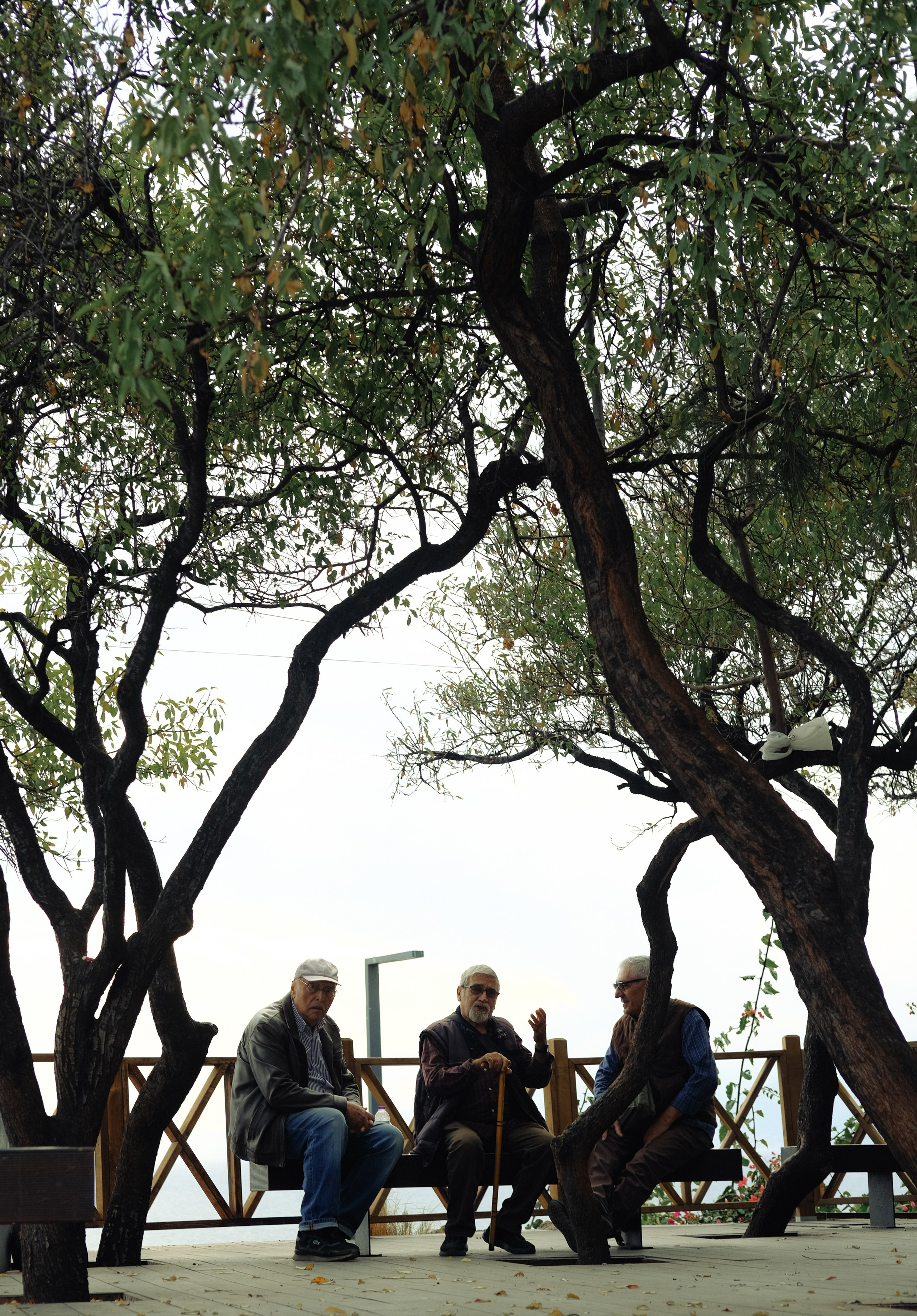 Lycian Way: Turkey. Обо мне