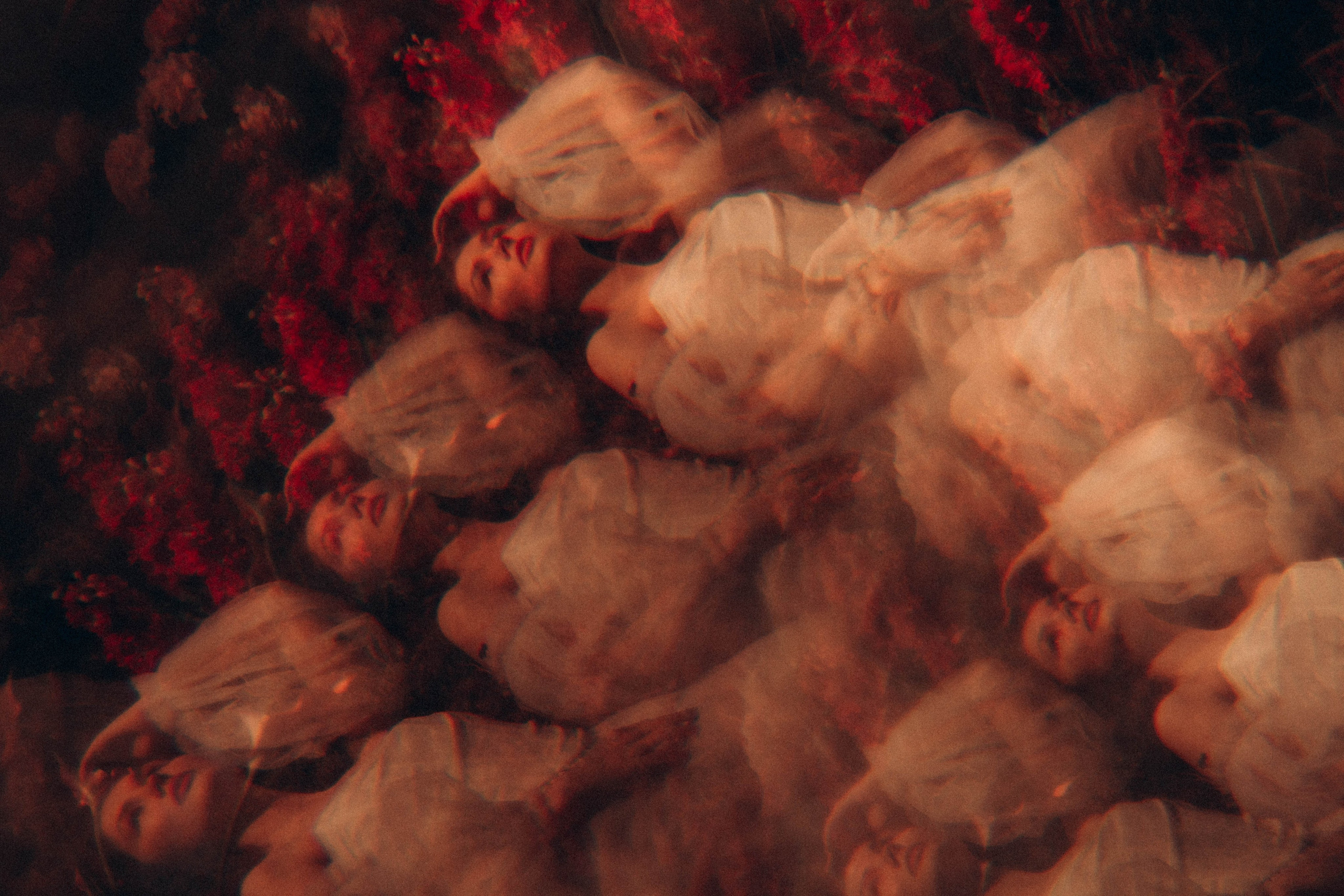 Флора в студии. Создадим шедевр? Виталина и её фотоискусство