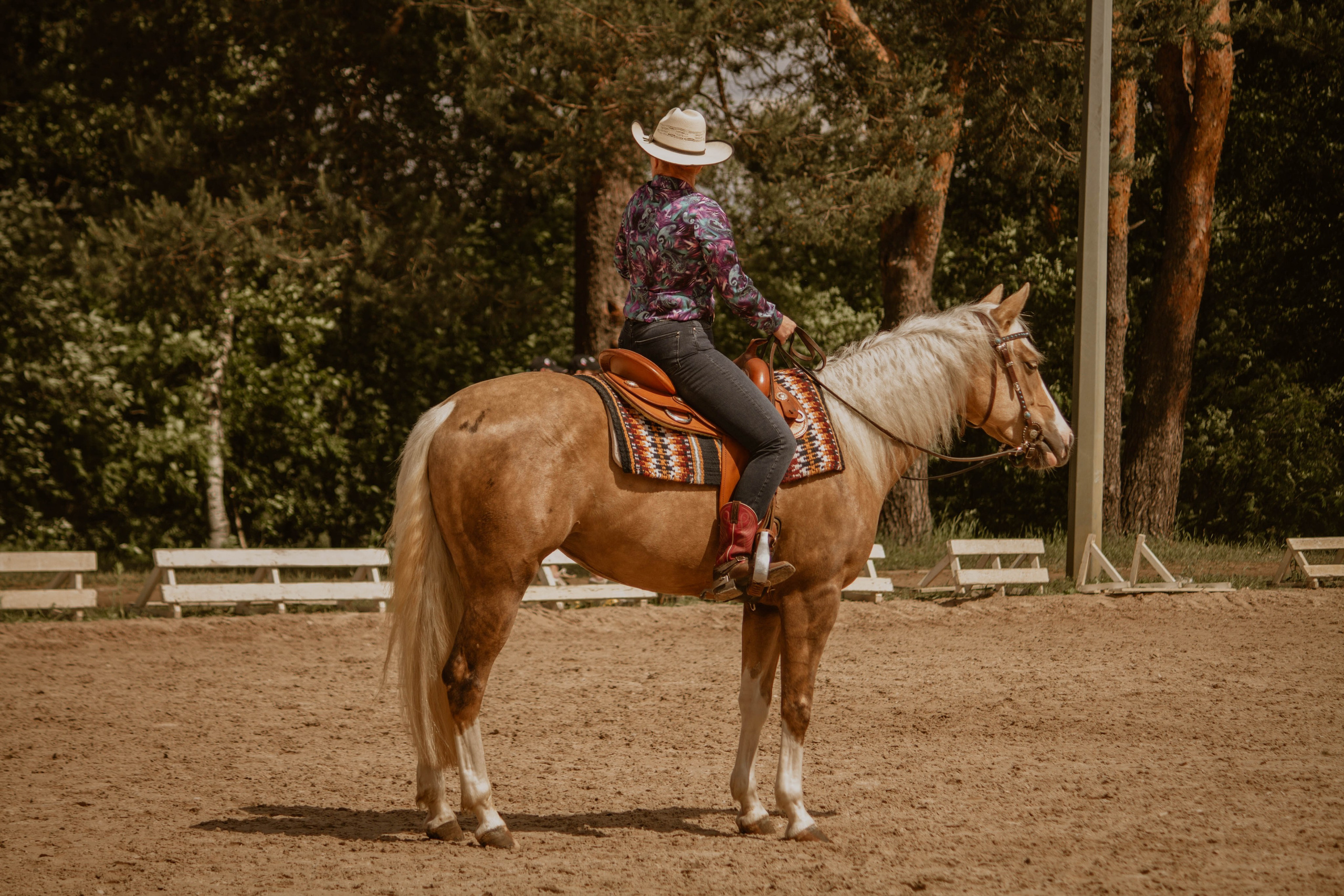 ИППОСФЕРА — Международная конная выставка. Создадим шедевр? Виталина и её фотоискусство
