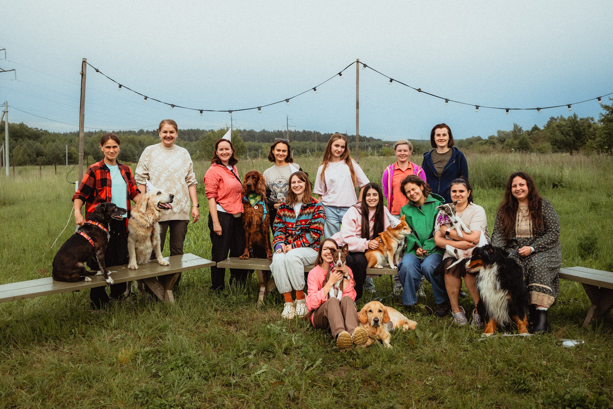 Выездной дог-тренинг от школы «Шерсть имею»