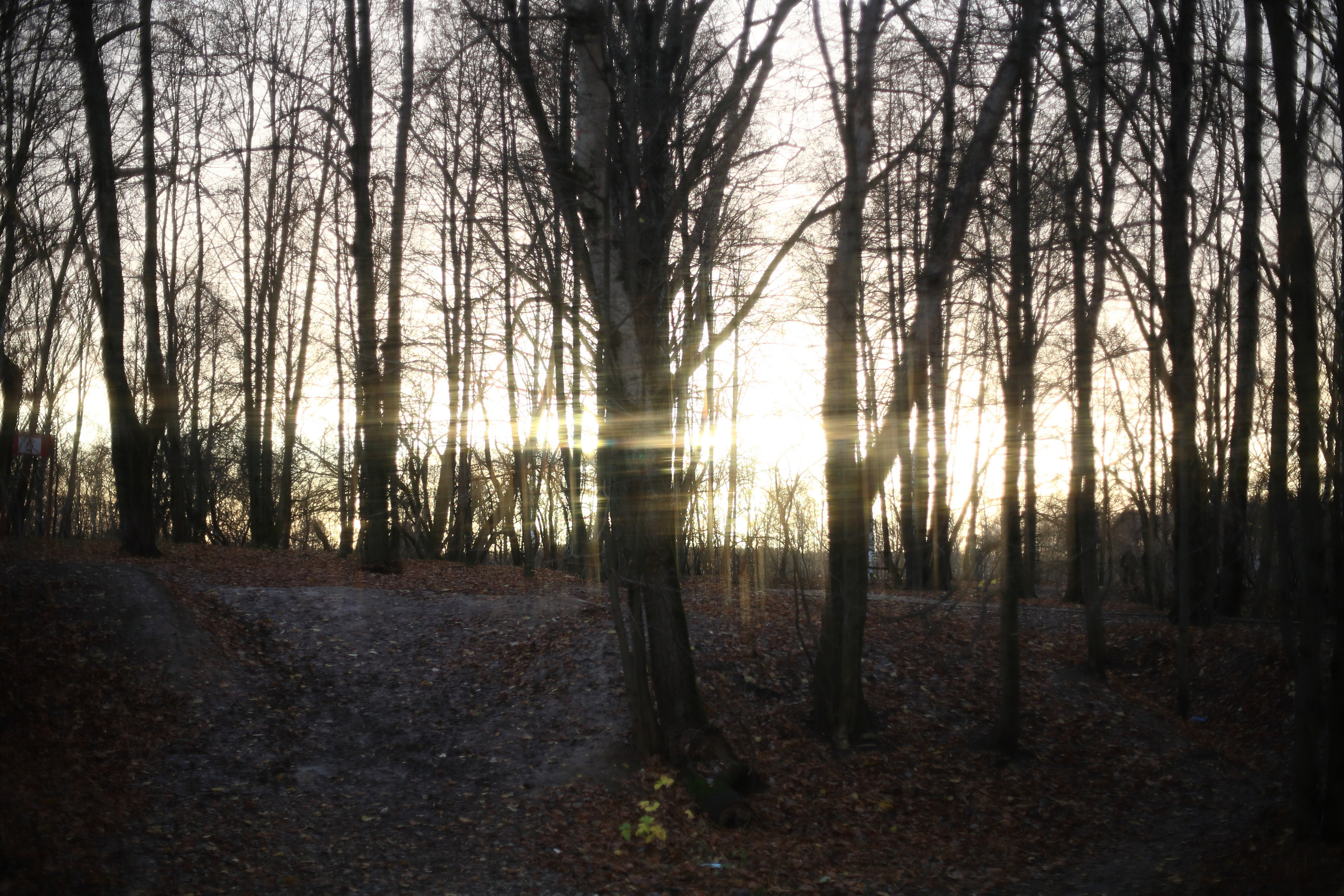 Старое природное, отбирала Katamount (Катерина Горохова). Главная