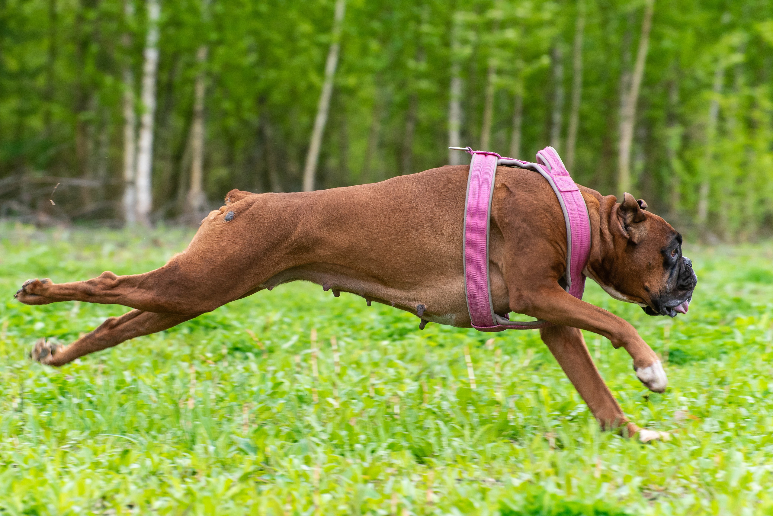 Фотографии с Курсинга. Фотограф Макс Огурцов в Нижнем Новгороде