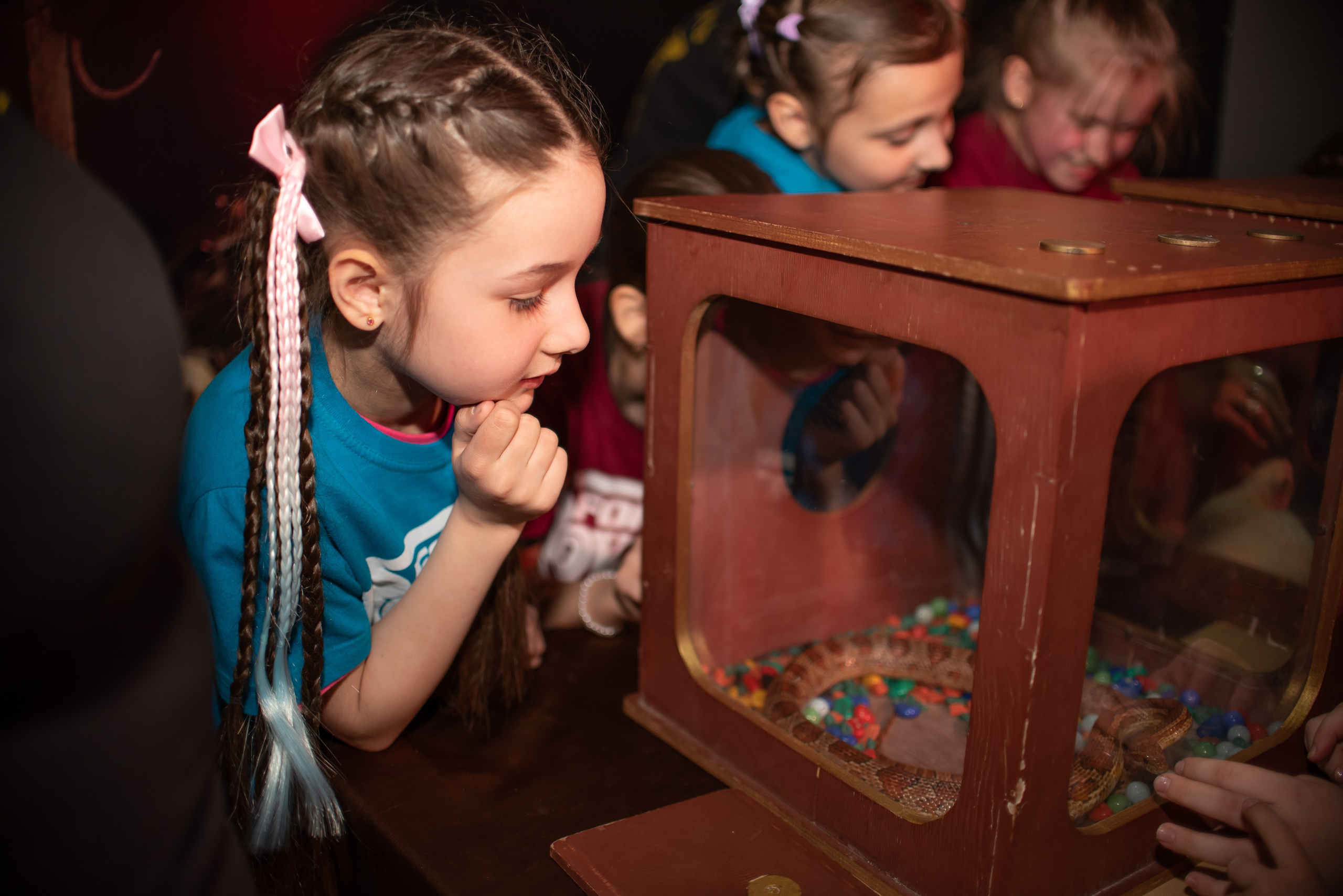 Фотограф на День Рождения. Фотограф Макс Огурцов в Нижнем Новгороде