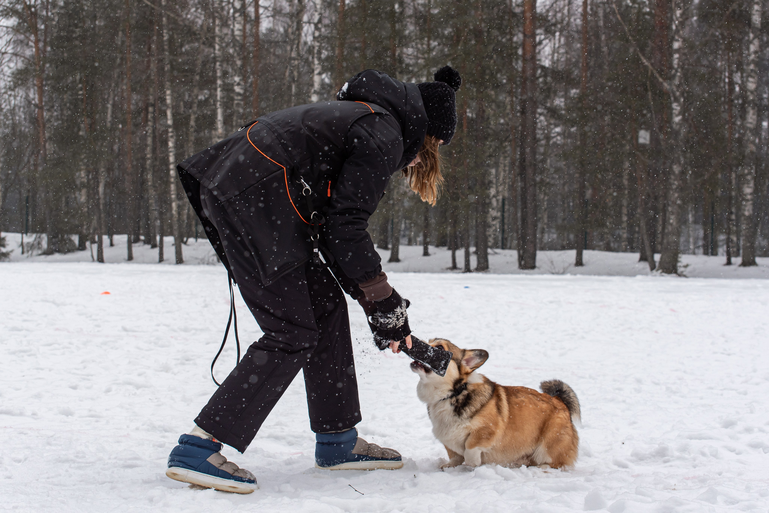Фотосъёмка с собаками в Кинологическом лагере. Фотограф Макс Огурцов в Нижнем Новгороде