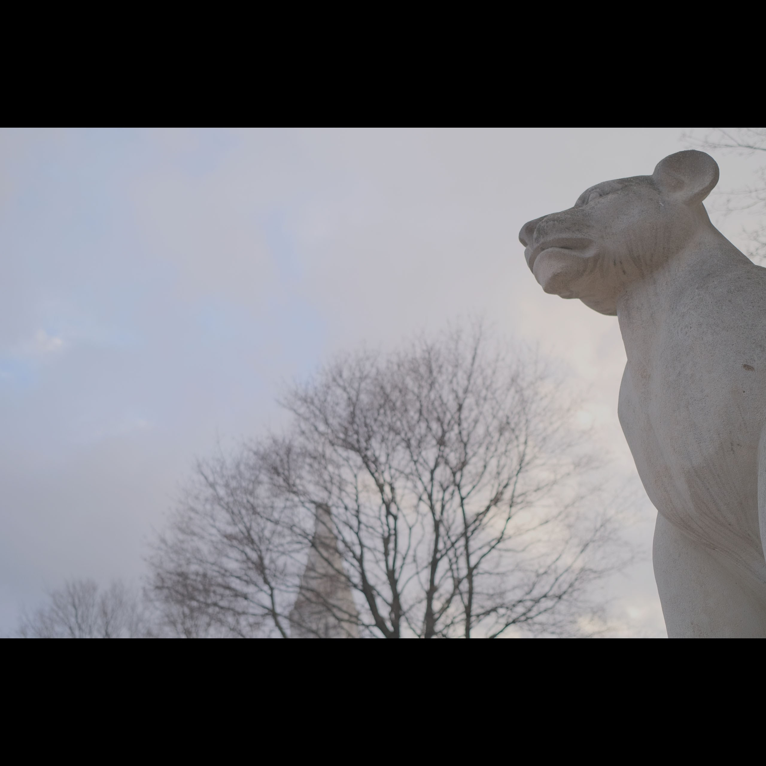 Фотоальбом с разными съёмками