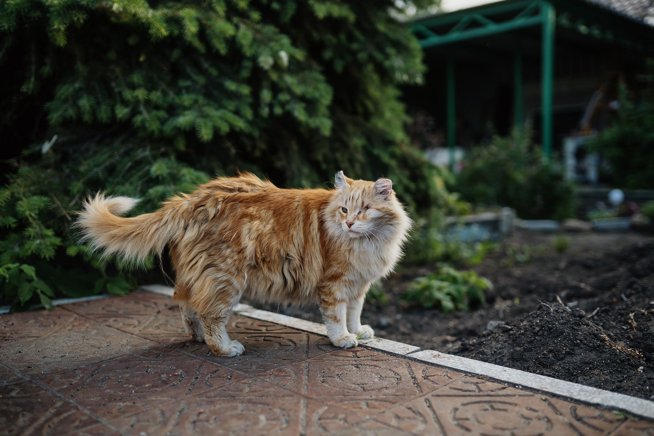 Портретная фотосъёмка для Дамира Муратова. Фотограф Михаил Бурдель. Индустриальная, коммерческая и рекламная фотография