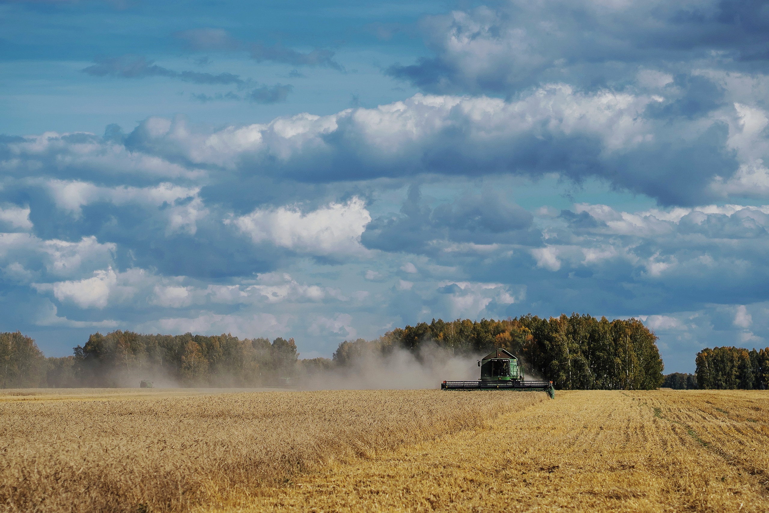 фотография сбора урожая пшеницы 