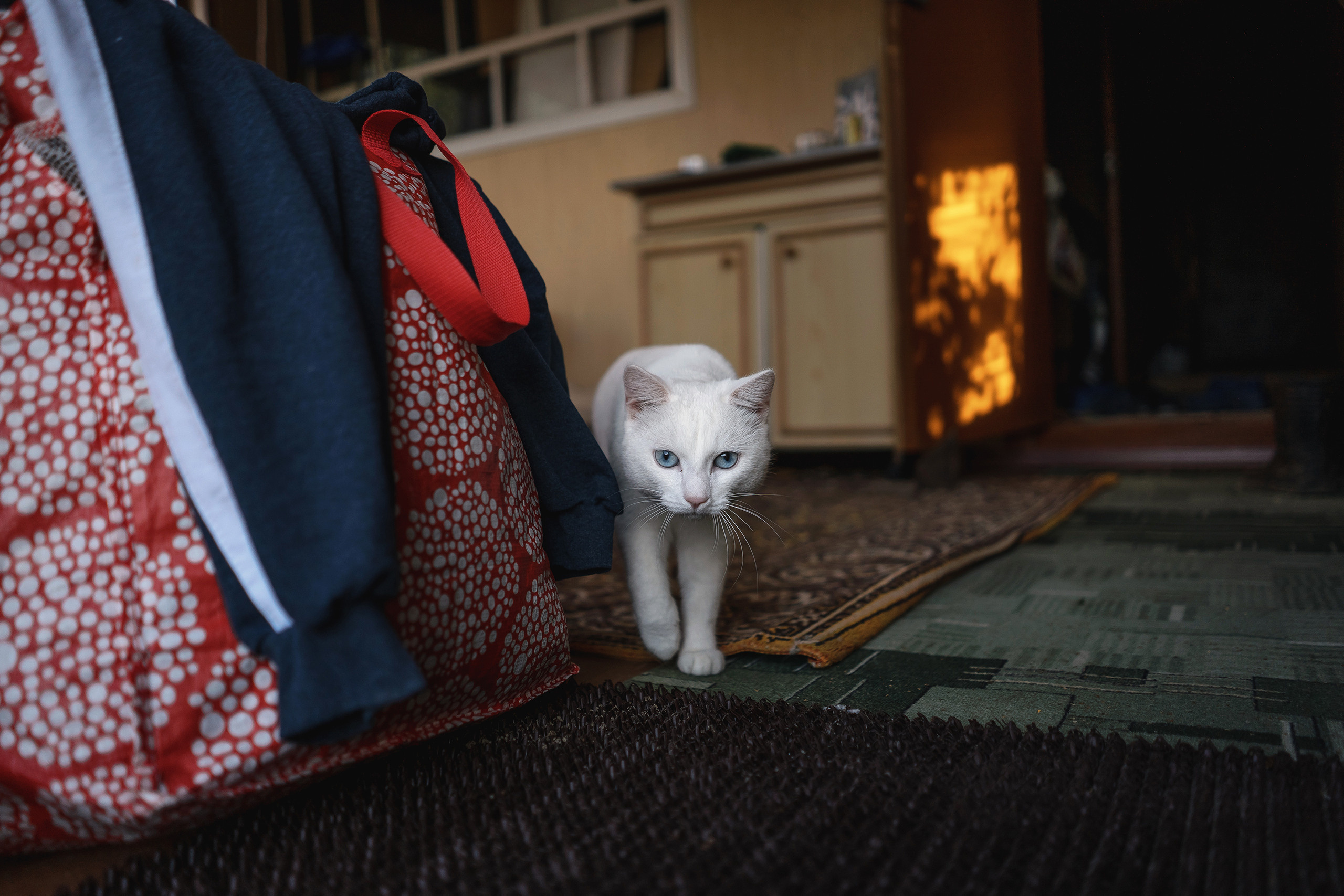 Фотопроект «Лица тайги». Фотограф Михаил Бурдель. Индустриальная, коммерческая и рекламная фотография