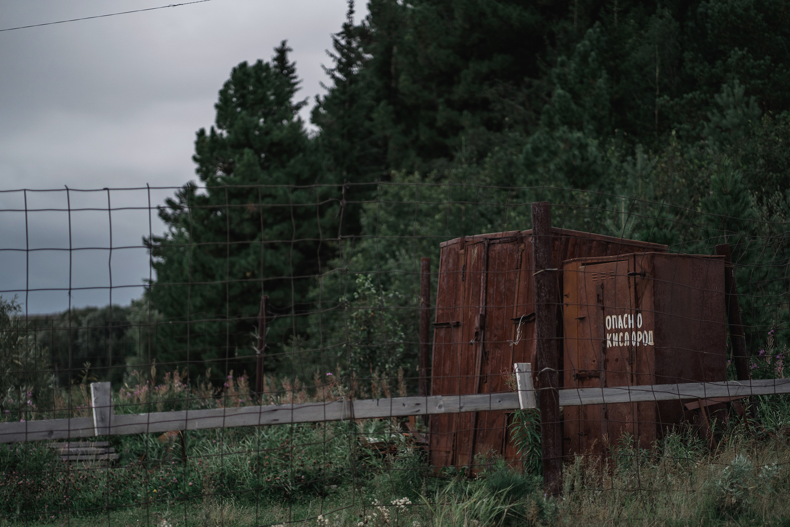 Фотопроект «Лица тайги». Фотограф Михаил Бурдель. Индустриальная, коммерческая и рекламная фотография