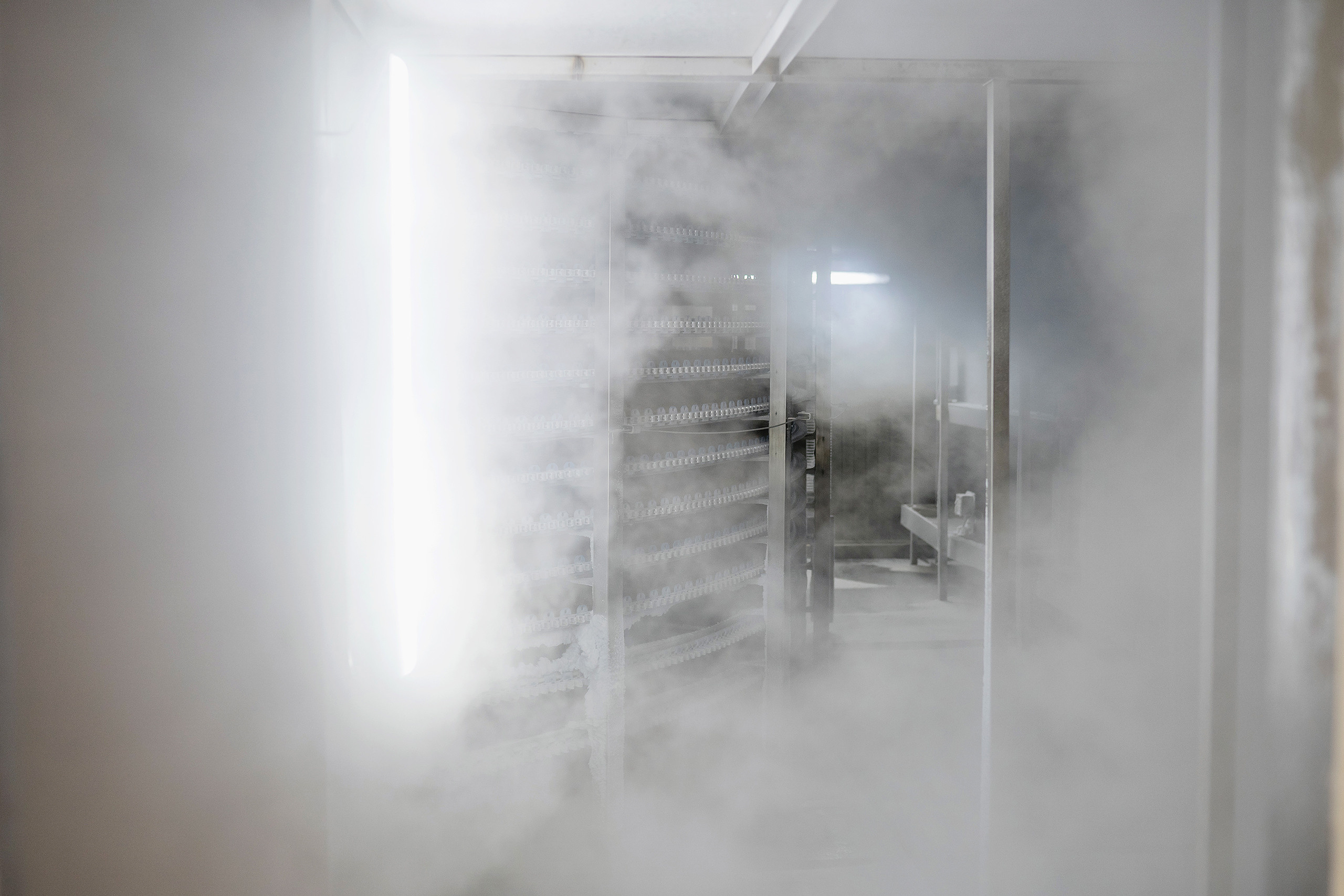 Морозильная камера на производстве