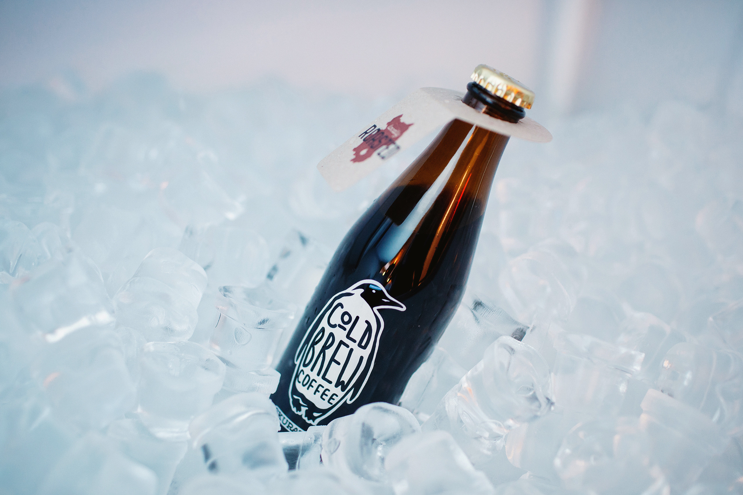 Бутылка холодного кофе лежит во льду фото