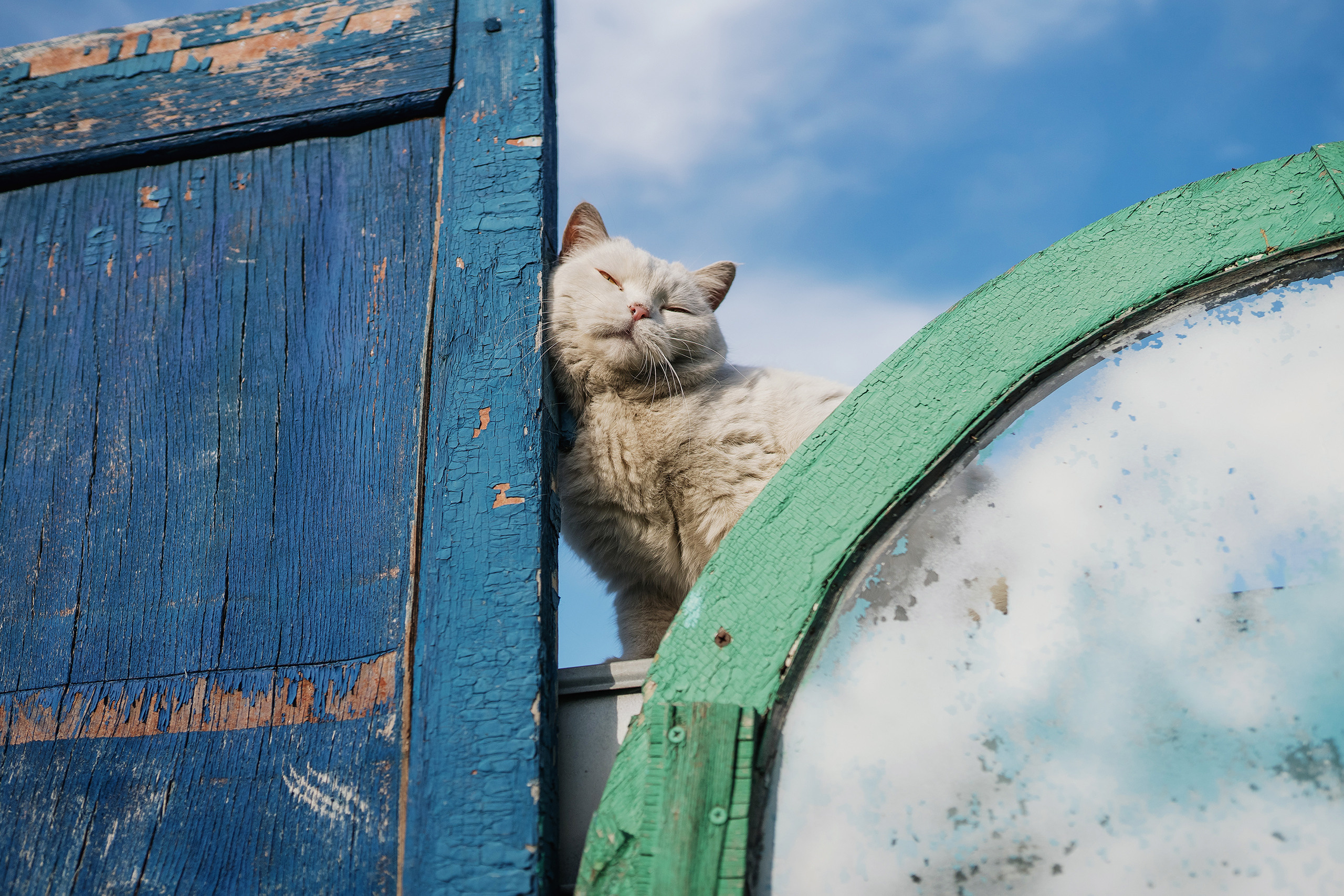 Портретная фотосъёмка для Дамира Муратова. Фотограф Михаил Бурдель. Индустриальная, коммерческая и рекламная фотография
