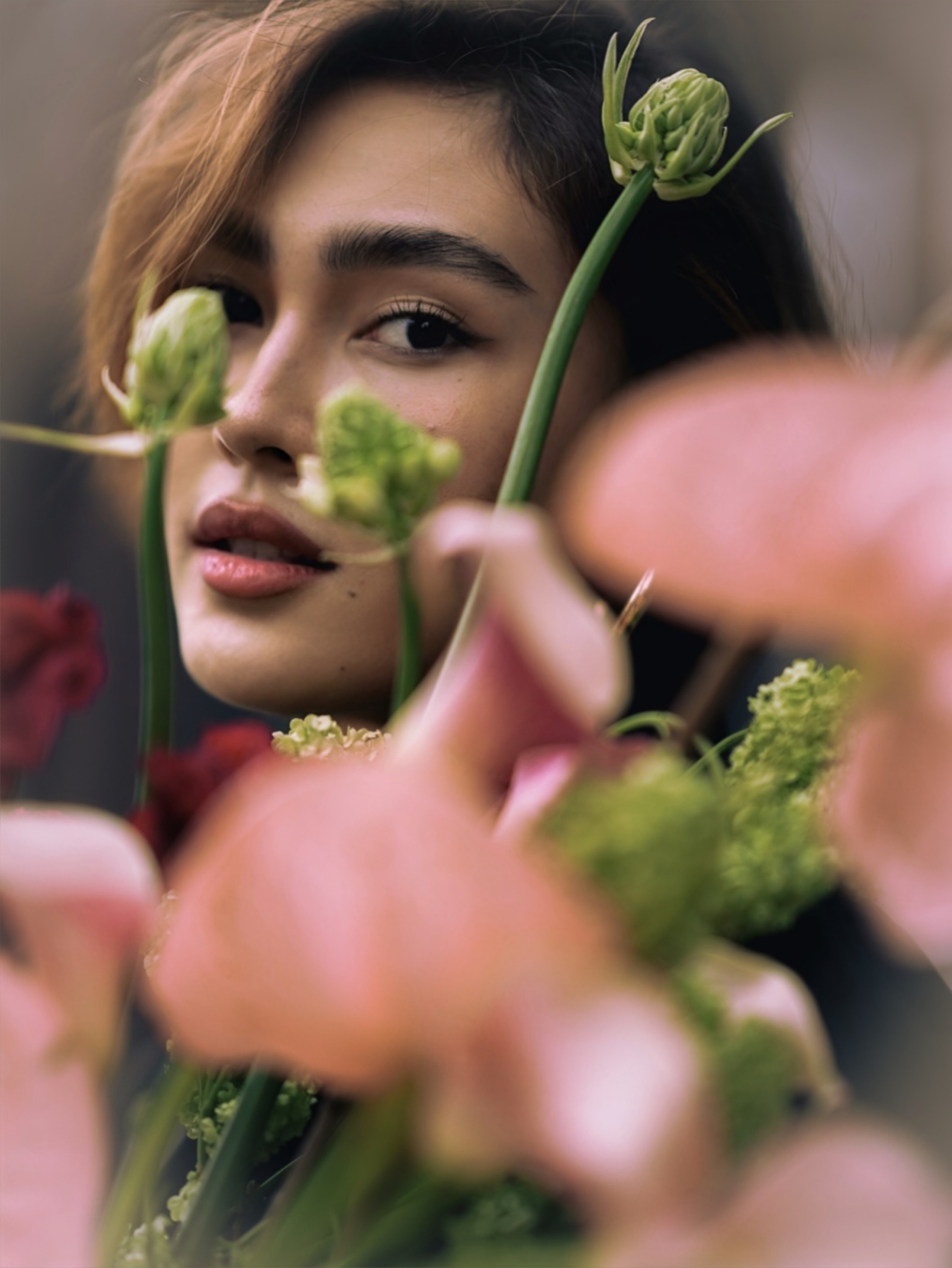 STREKOZA MAISON. Главная