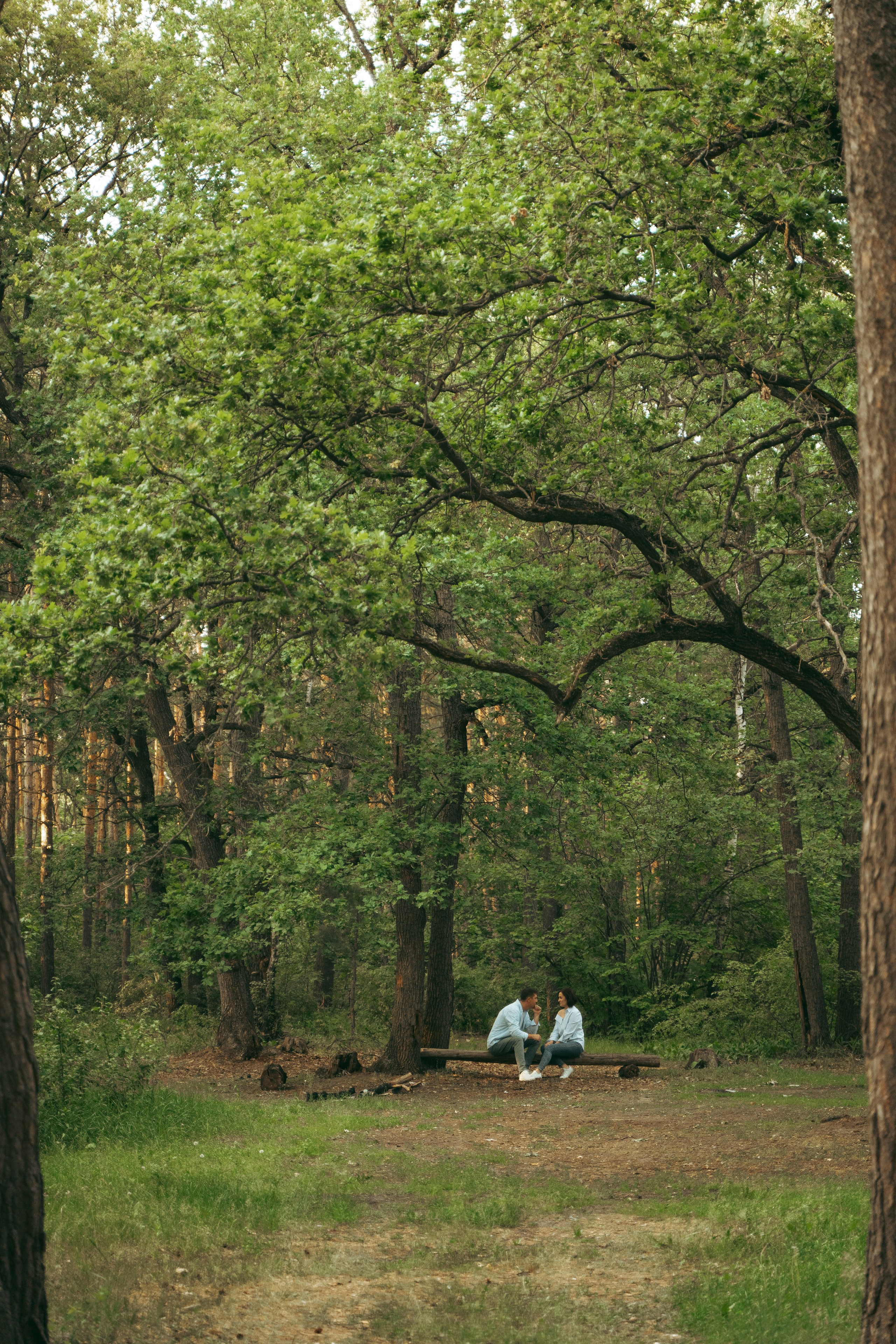 Лес. Фотограф Мария Зайчик