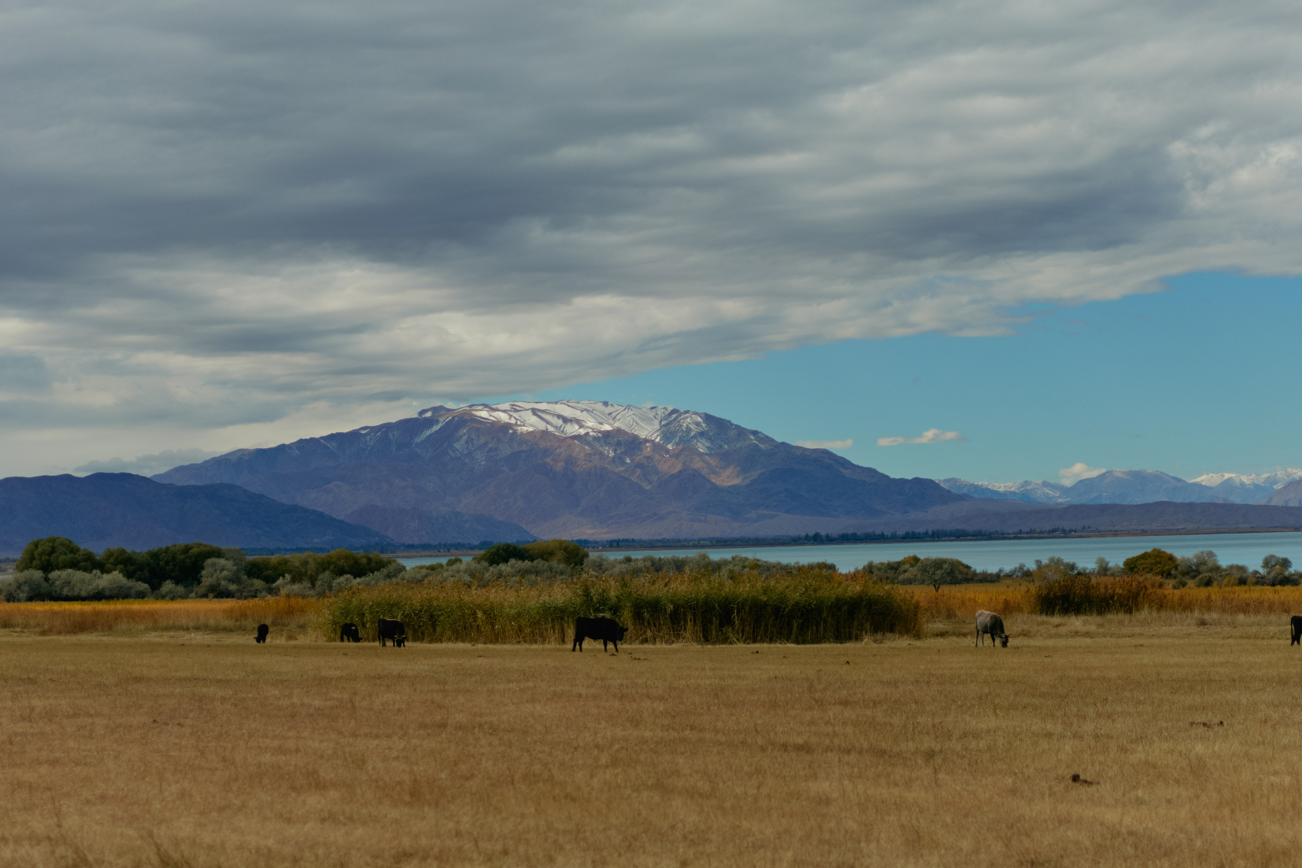 Кыргызтан. Профессиональный Фотограф во Владимире, в Москве и в Суздале — Полина Романычева