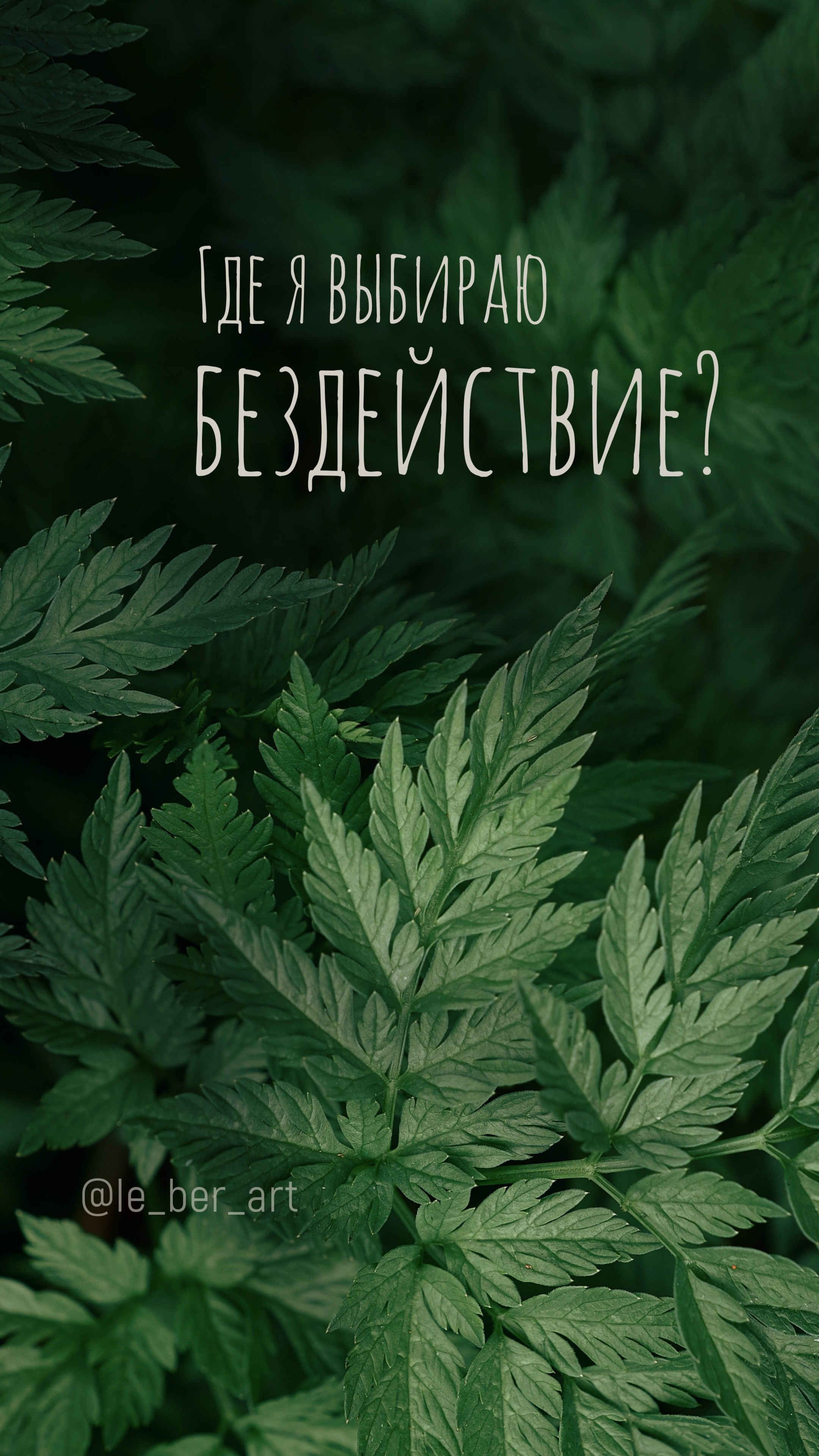 Заставки на телефон. Елена Берсенева, фотограф