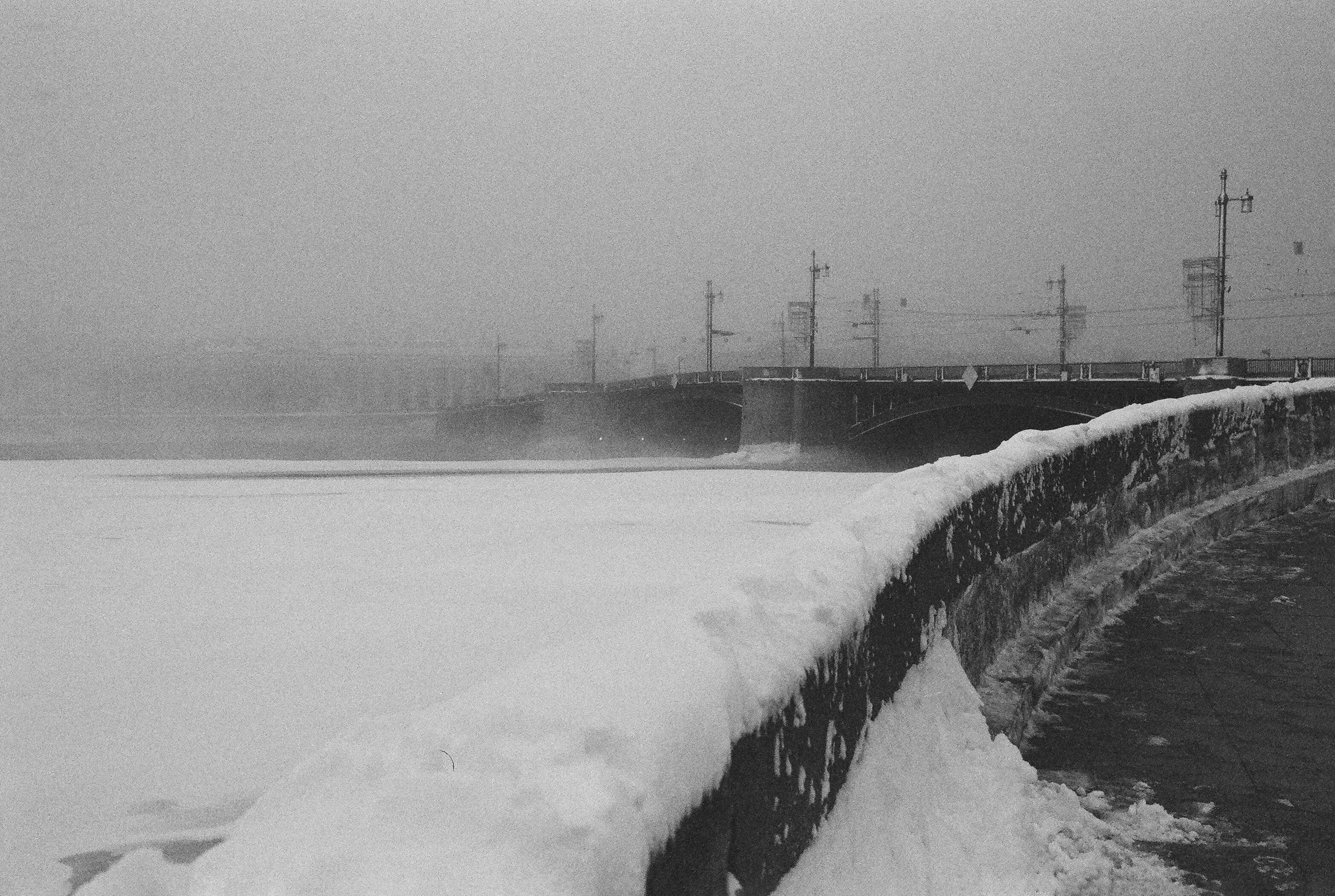 Фотографии черно-белые. Свадебный и семейный пленочный фотограф в Петербурге Истомина Ирина