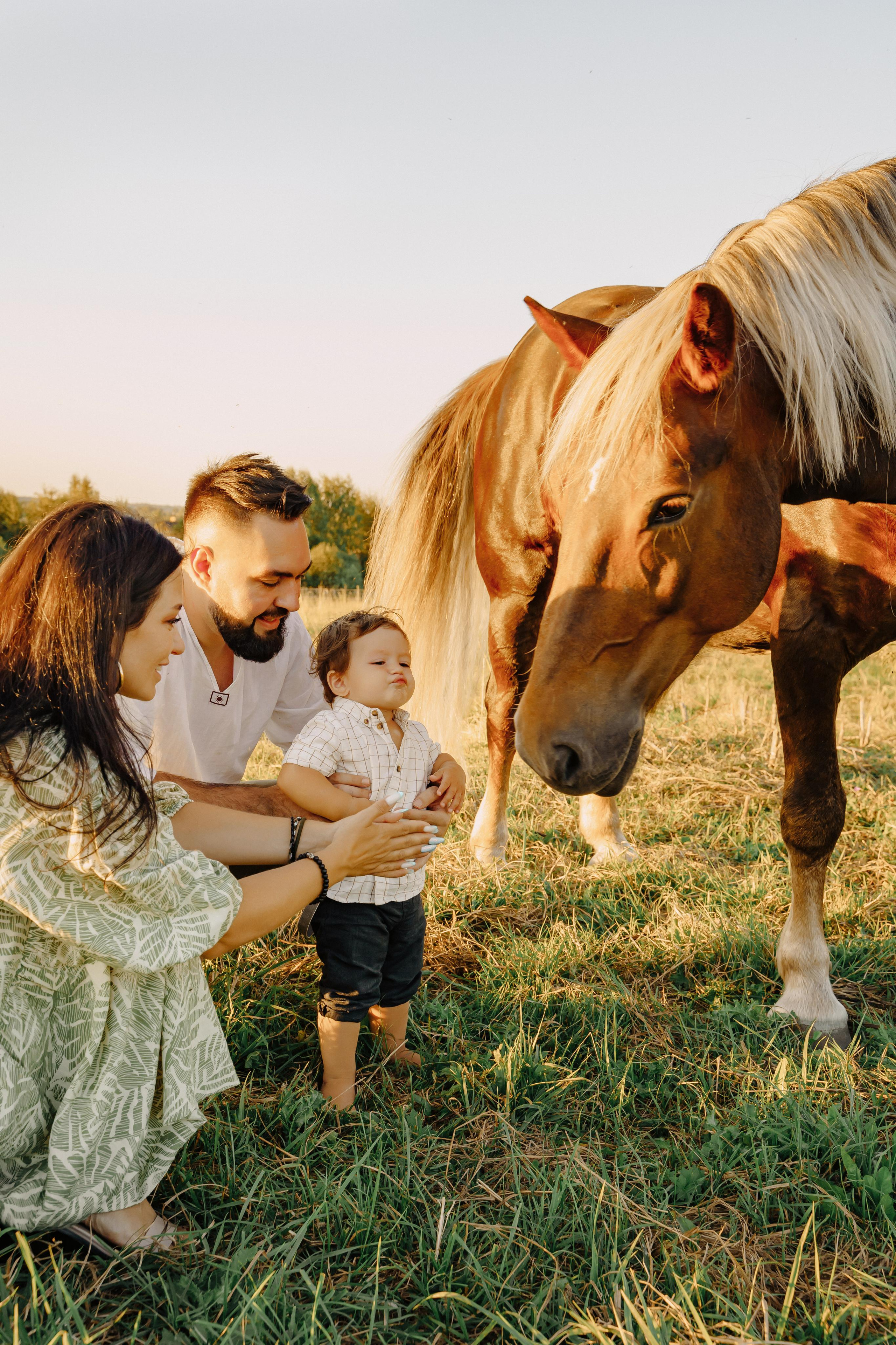 Семейные съемки, беременность. Фотограф и видеограф в Санкт-Петербурге и Москве Виктория Горячева