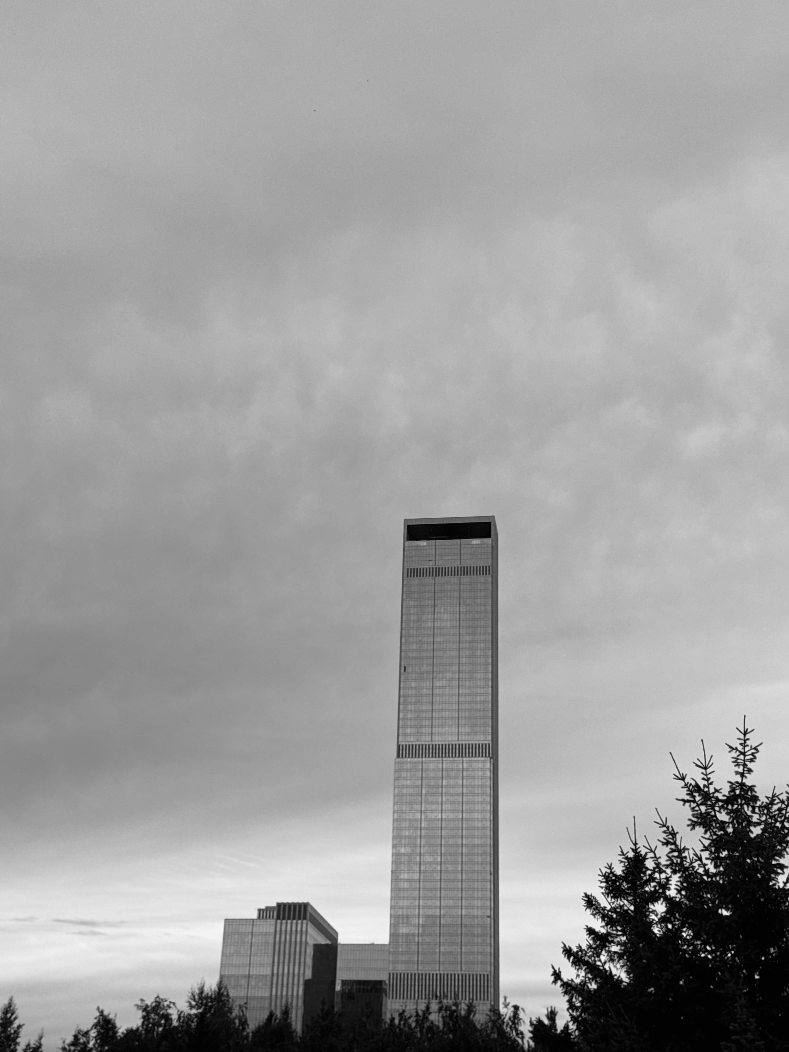 Уличная фотография