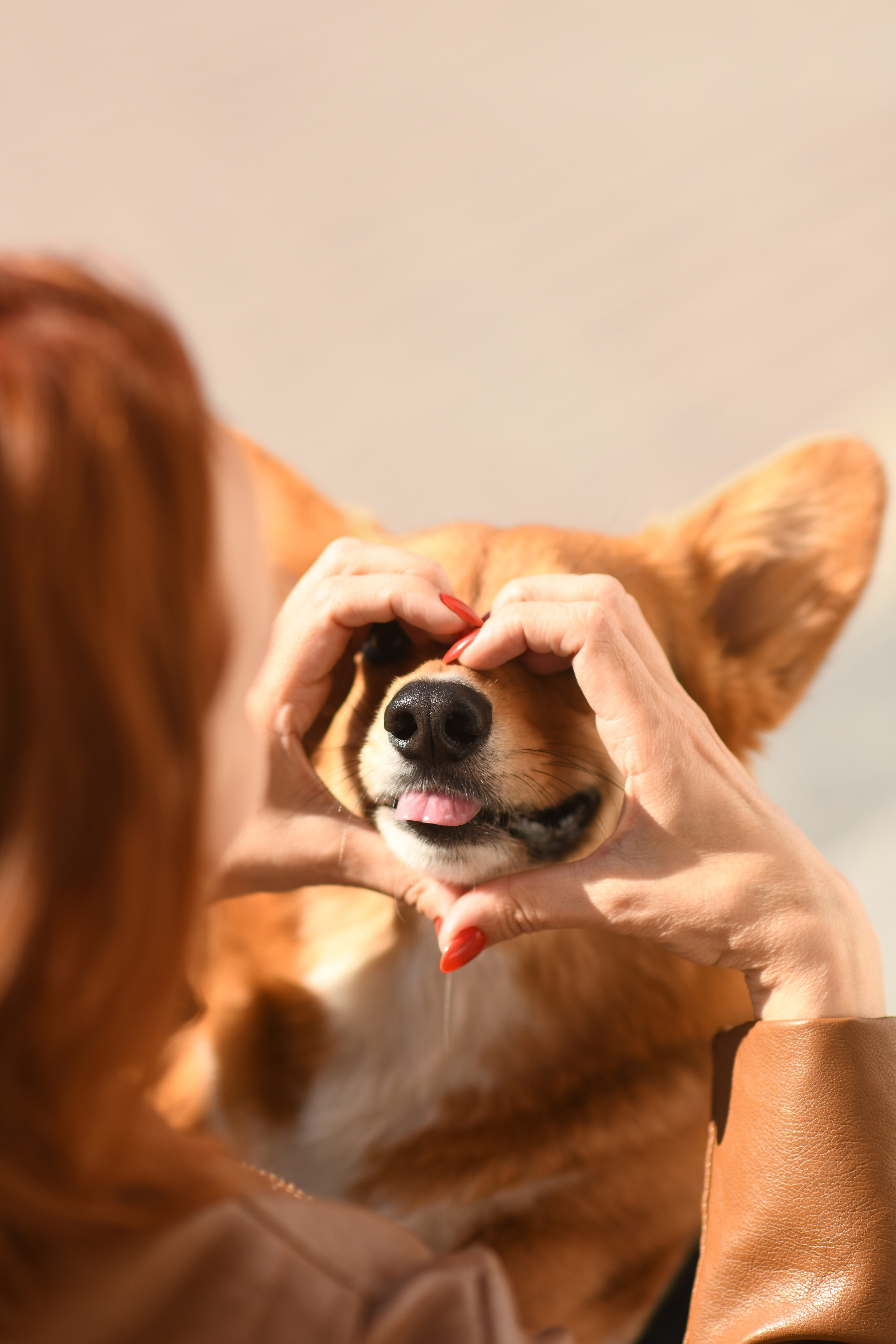 Художественная съёмка