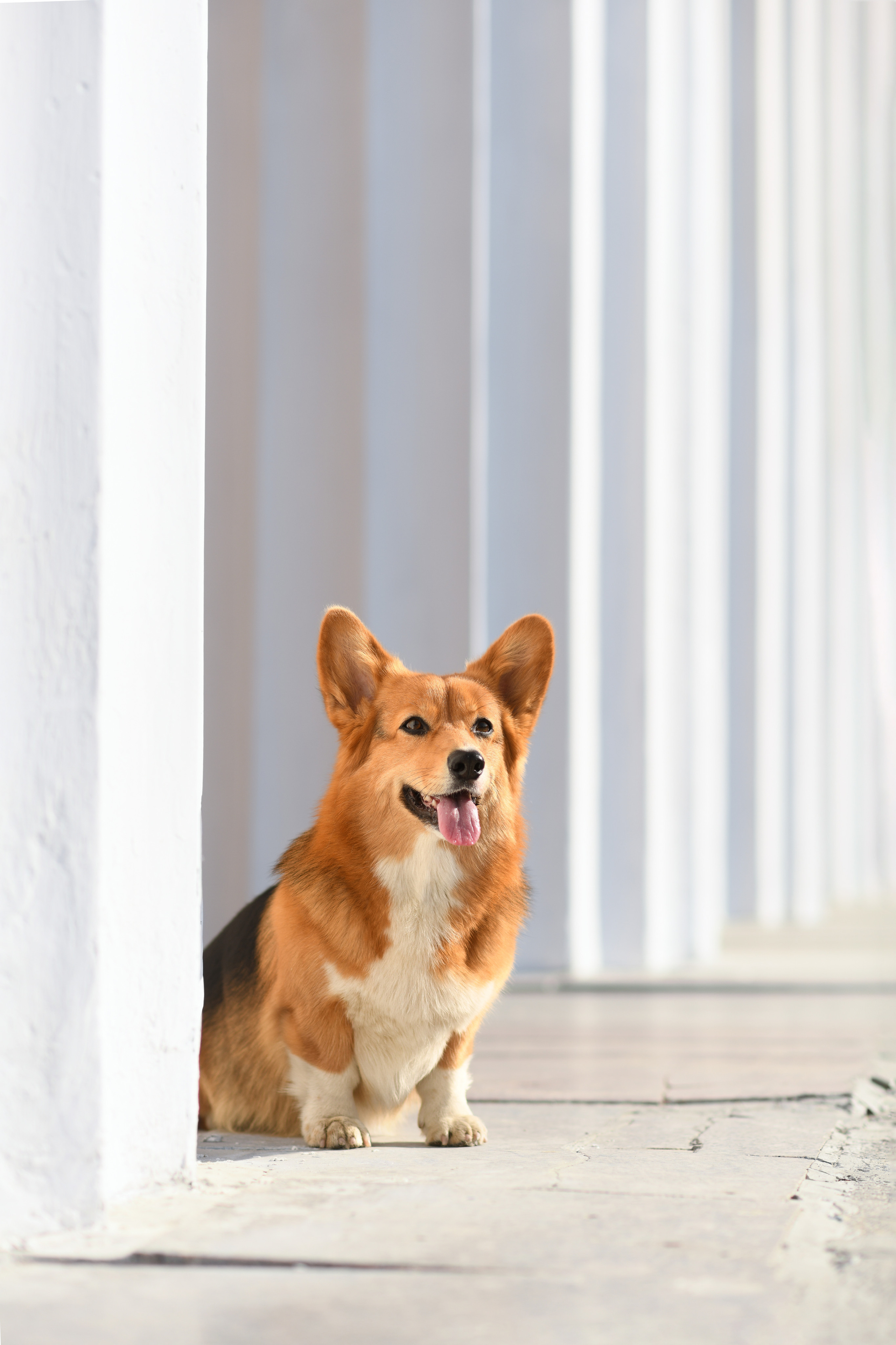 Художественная съёмка