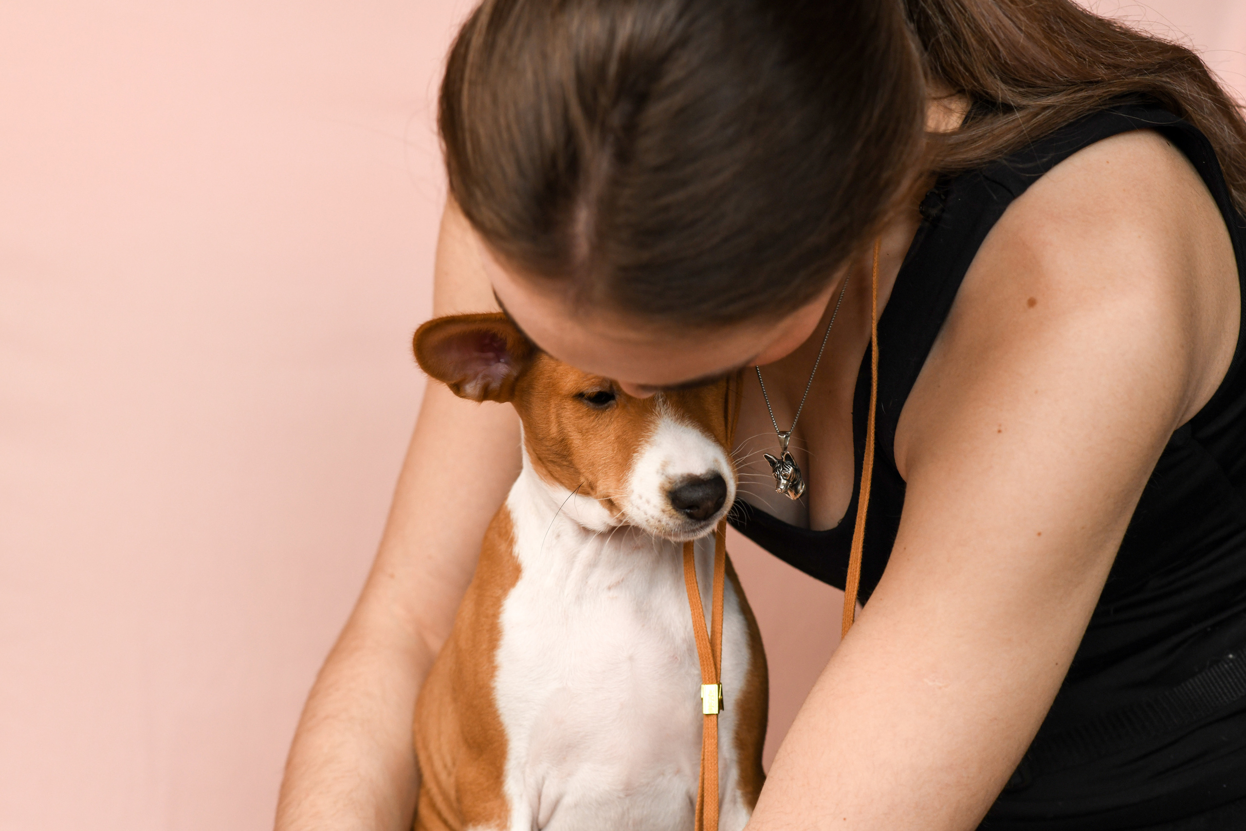 Щенки со студийным светом