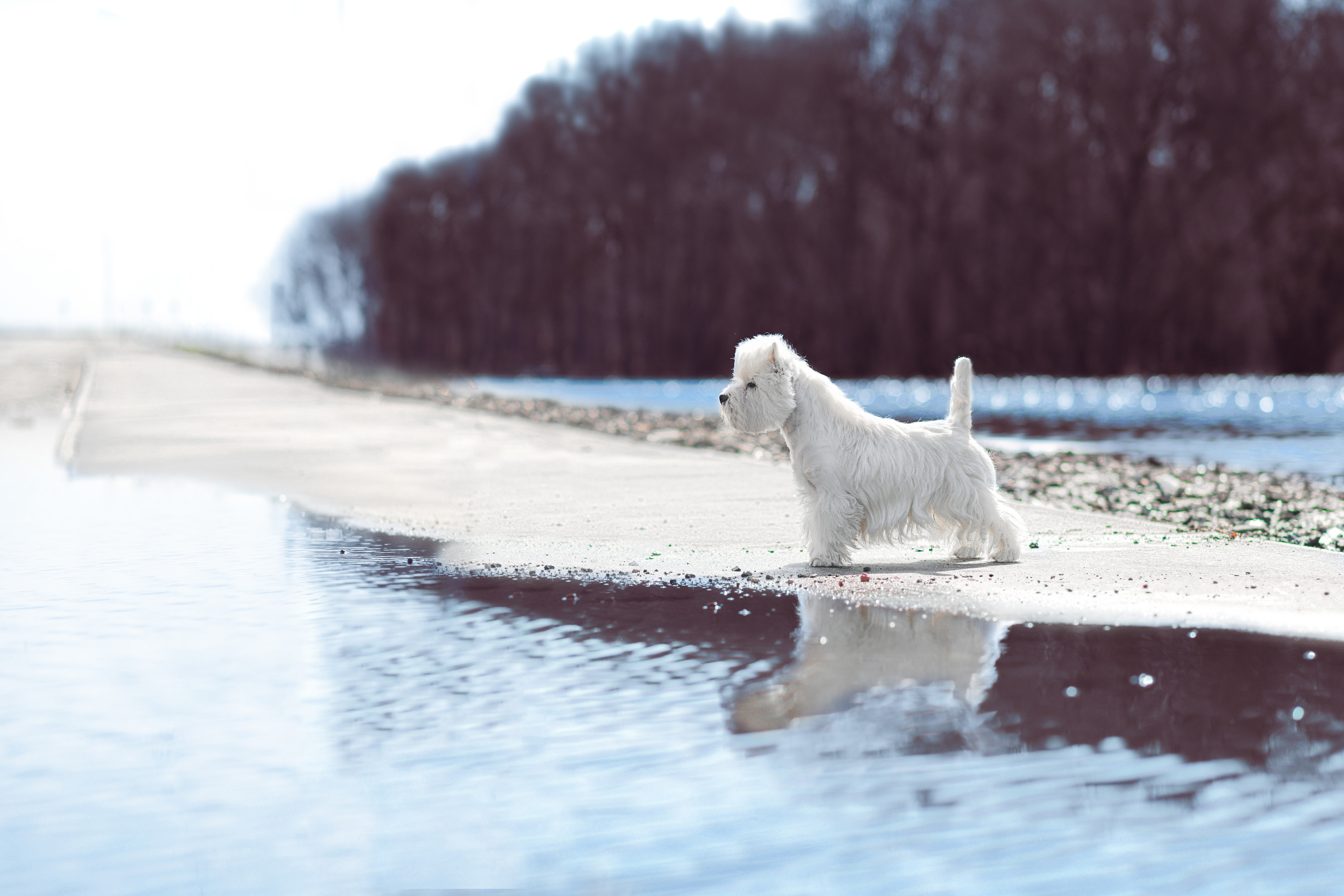 Экстерьерная съёмка