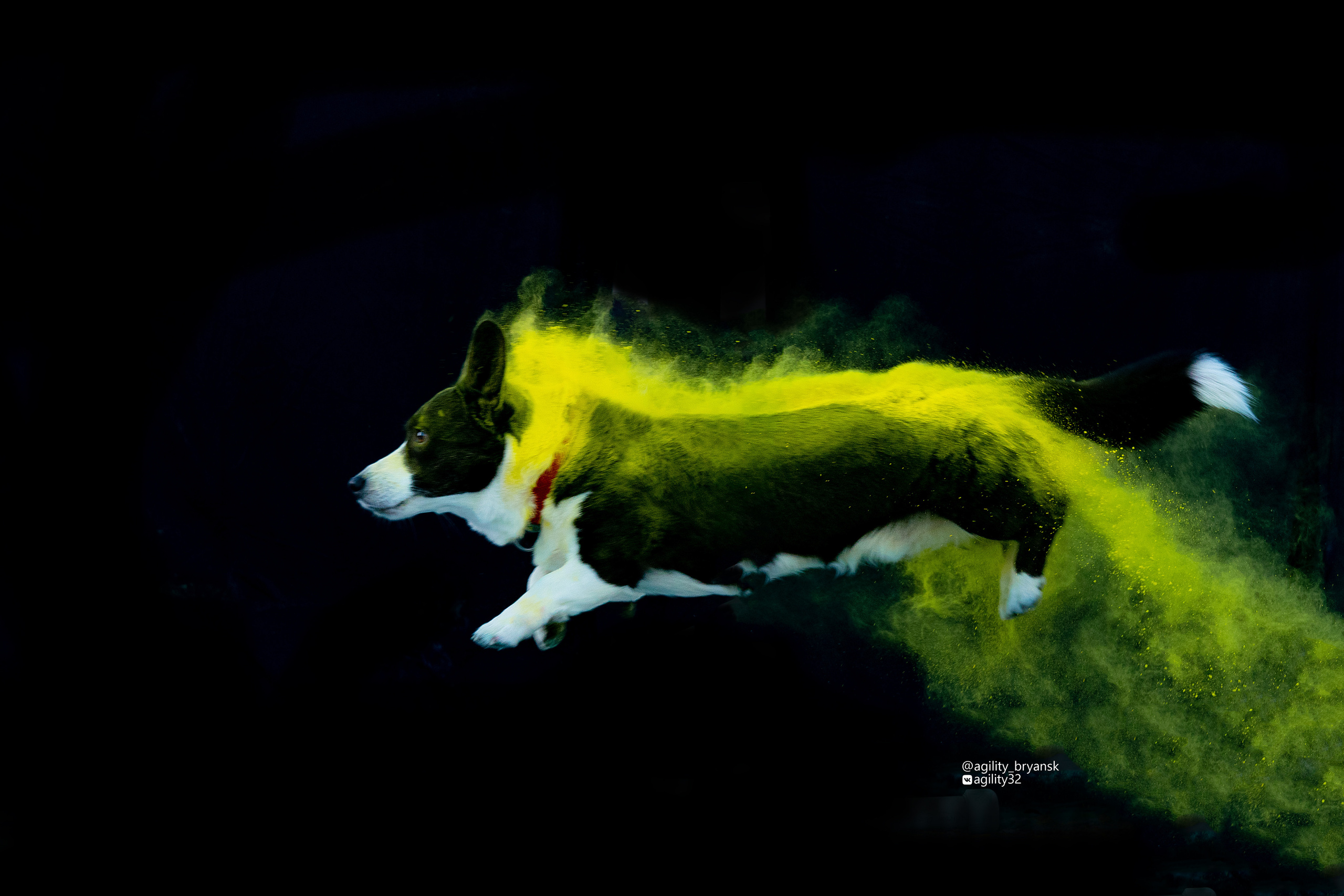 Краски Холи